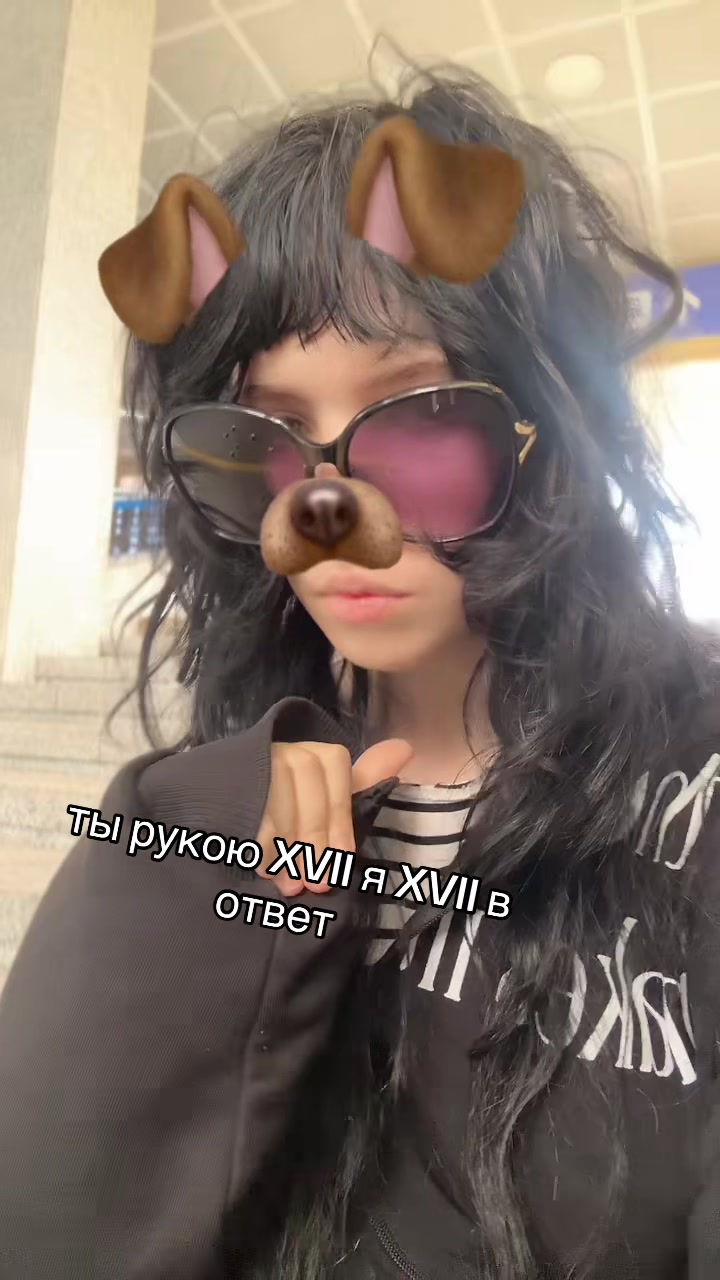 @alikoya