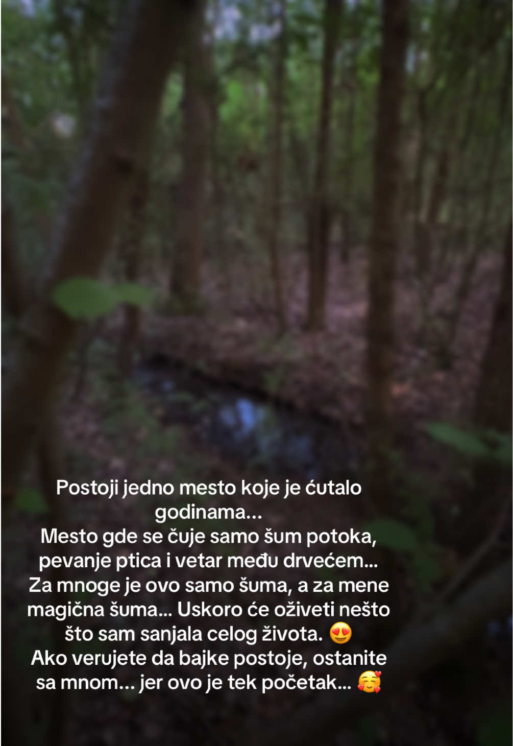 @marijararija