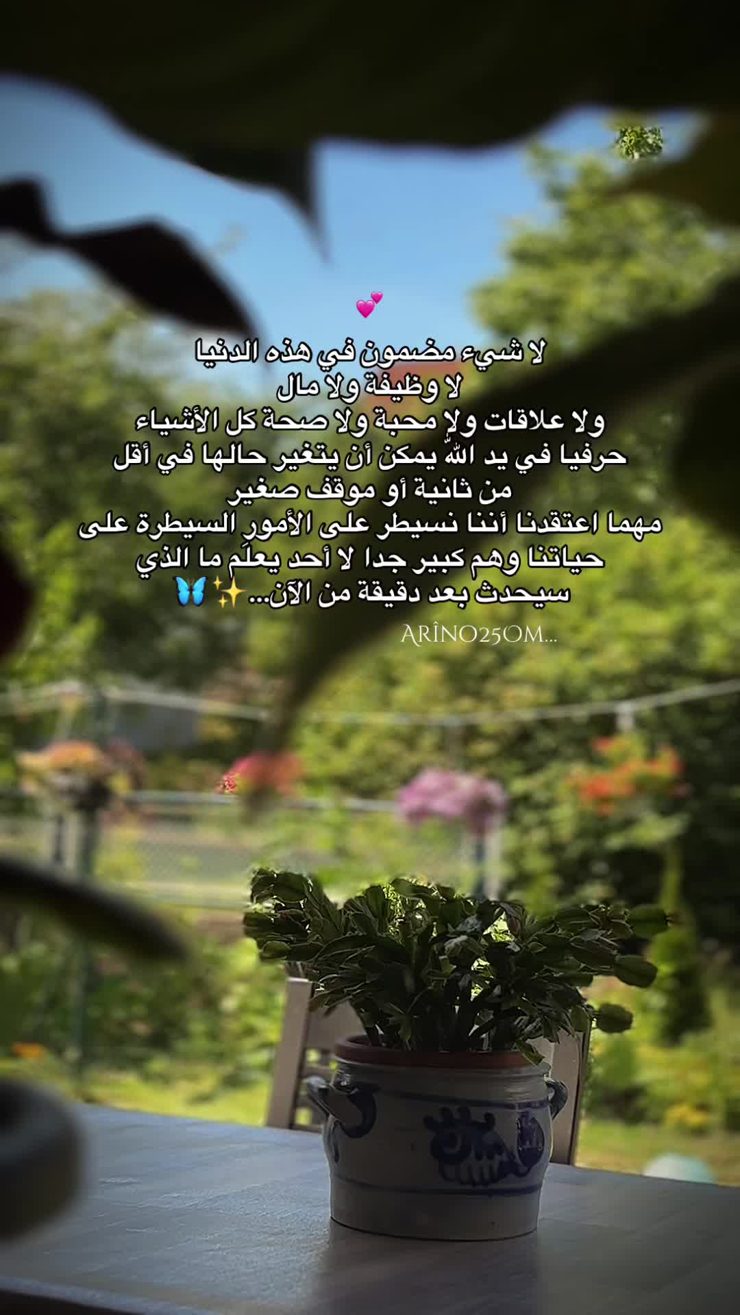 @Ar&icirc;no25Om
