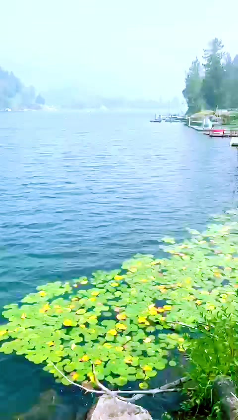 @ASADKHAN