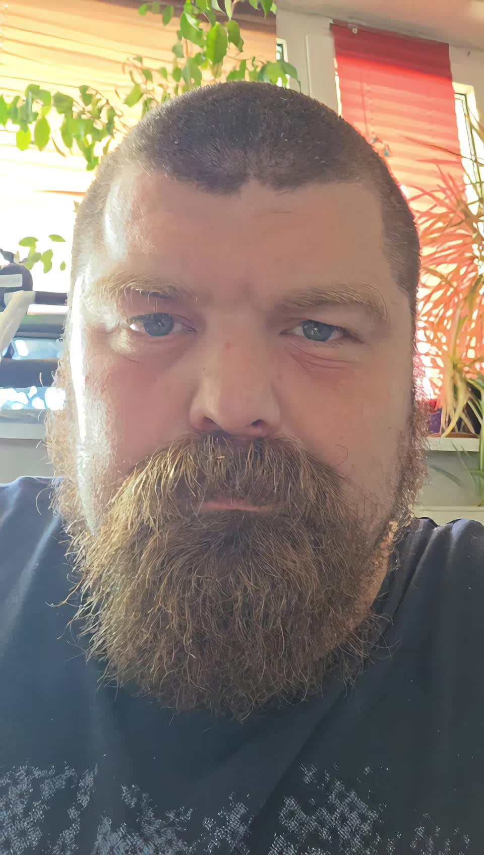 @darksait88