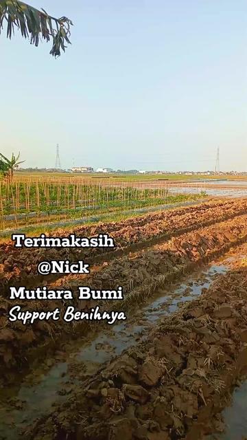 @KANG BERUN  GEMOY
