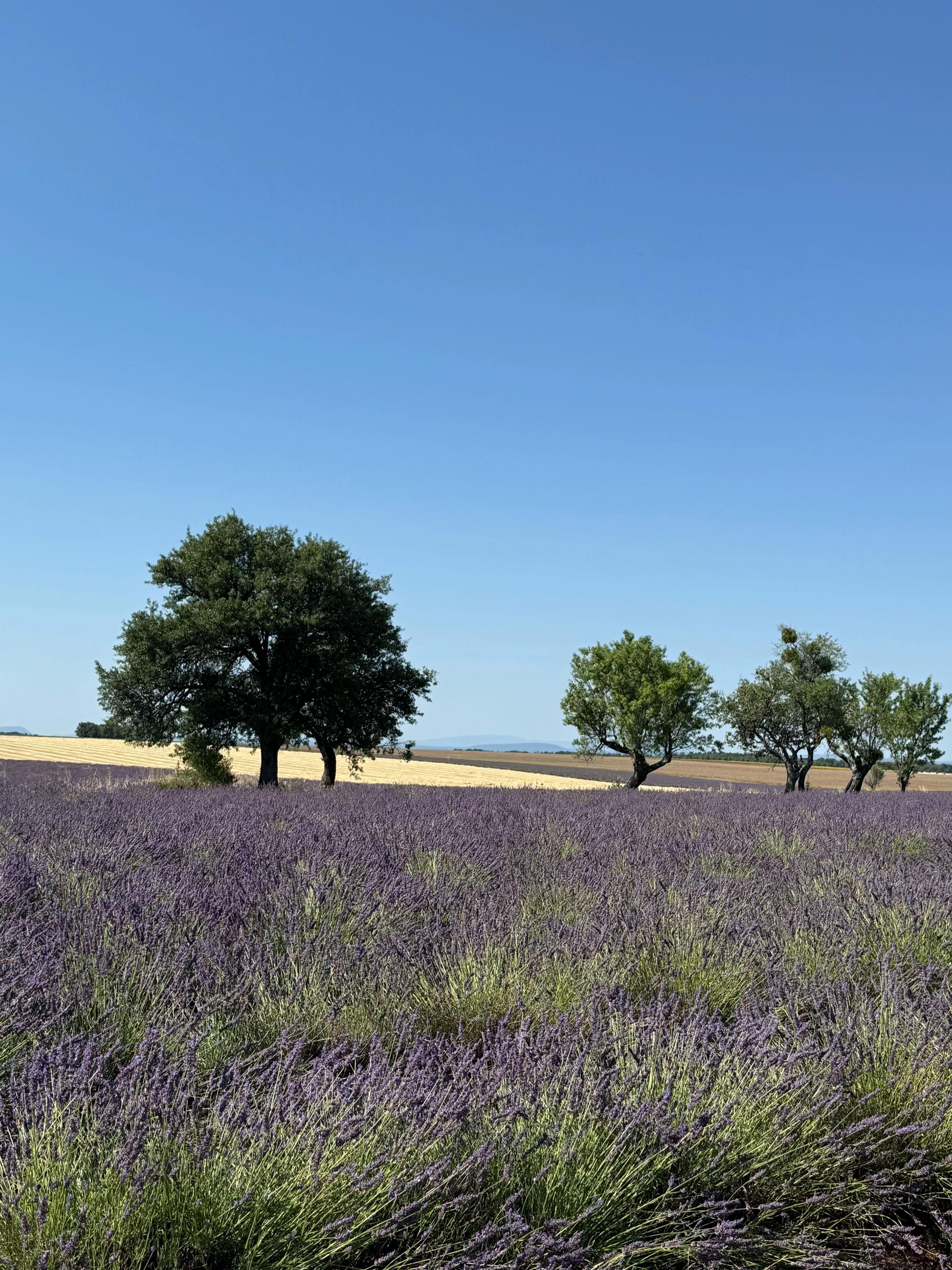 @Giulia Parise