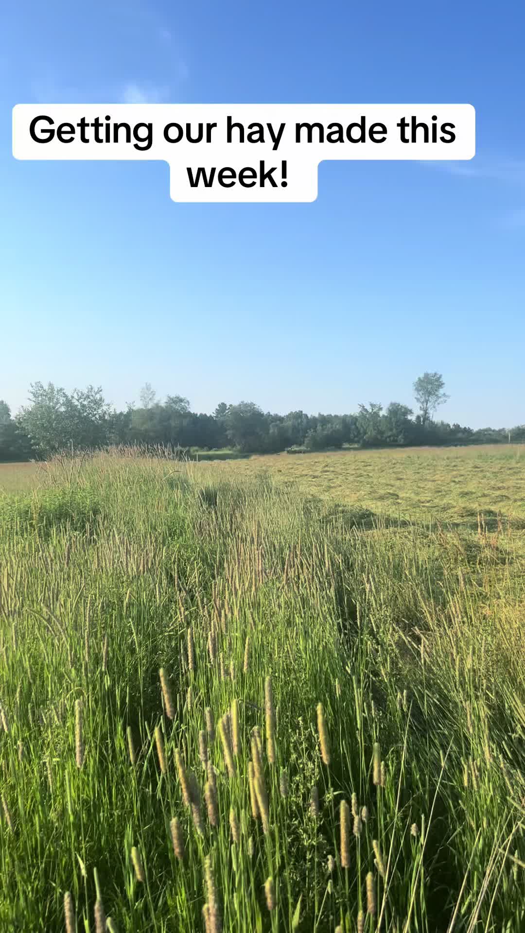 @littlesandycreekfarm
