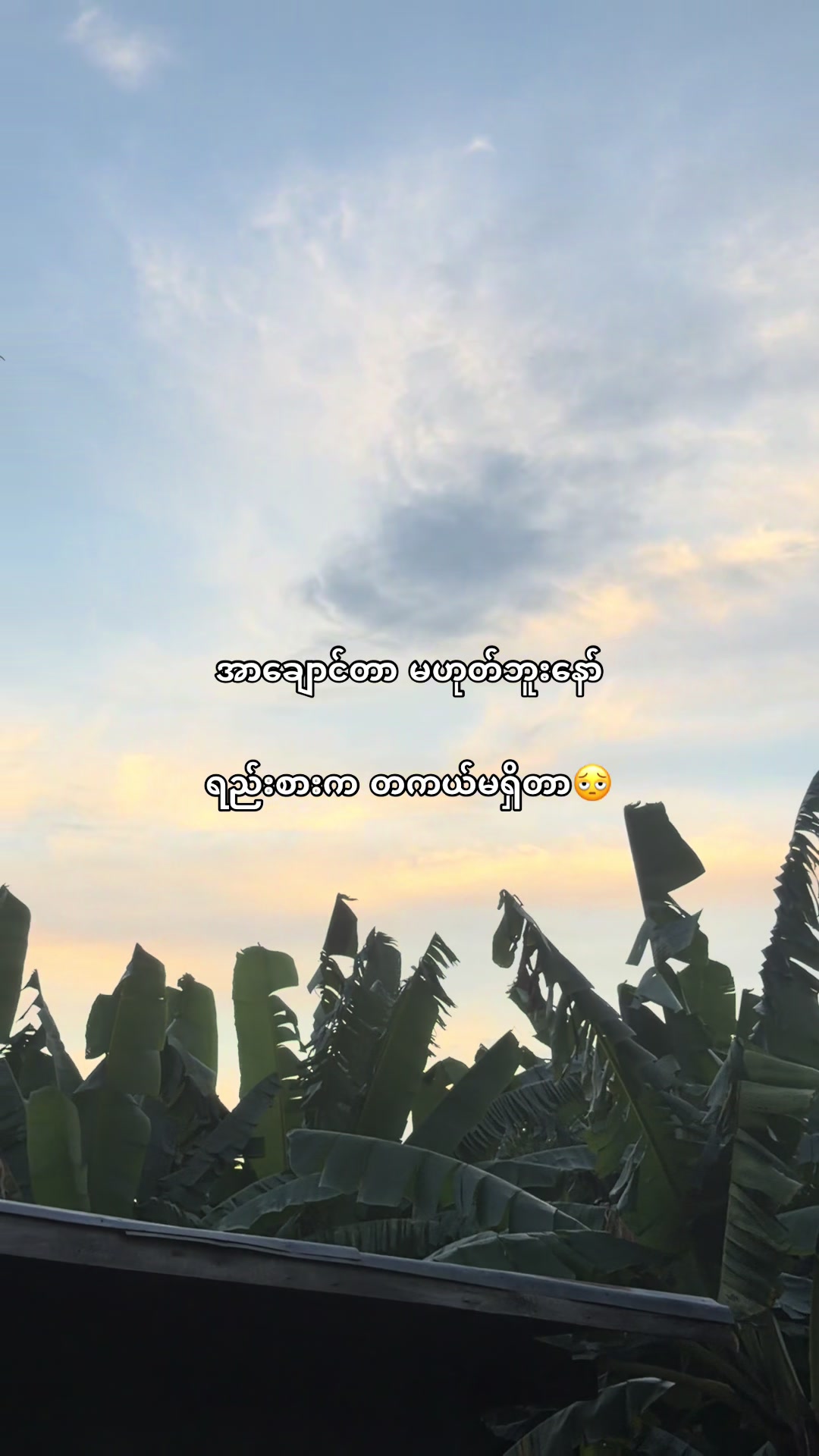 @𝐊𝐨🪐𝐒𝐡𝐢𝐧𝐞(Official2.9M)