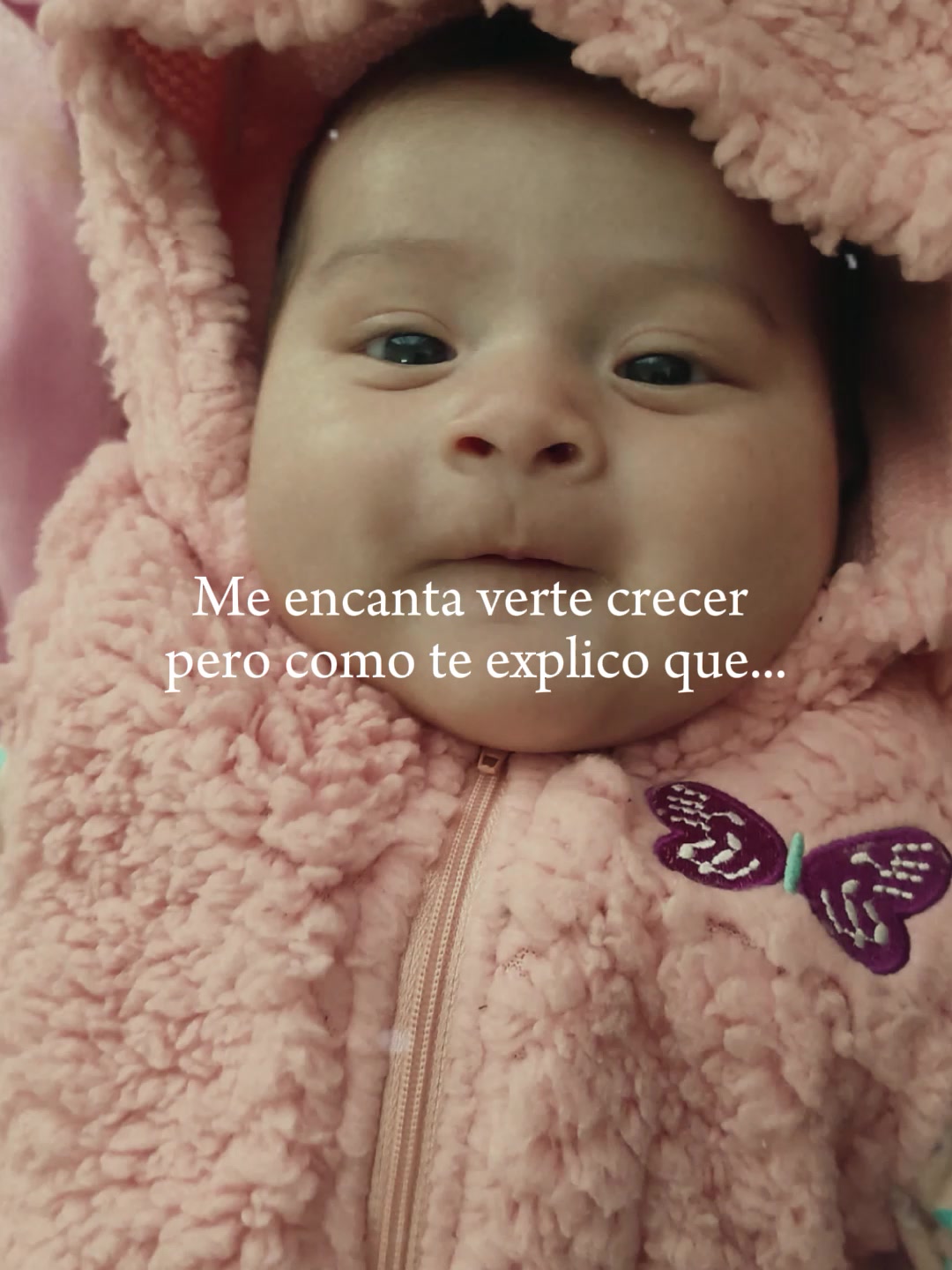 @M&oacute;nica Heredia M.