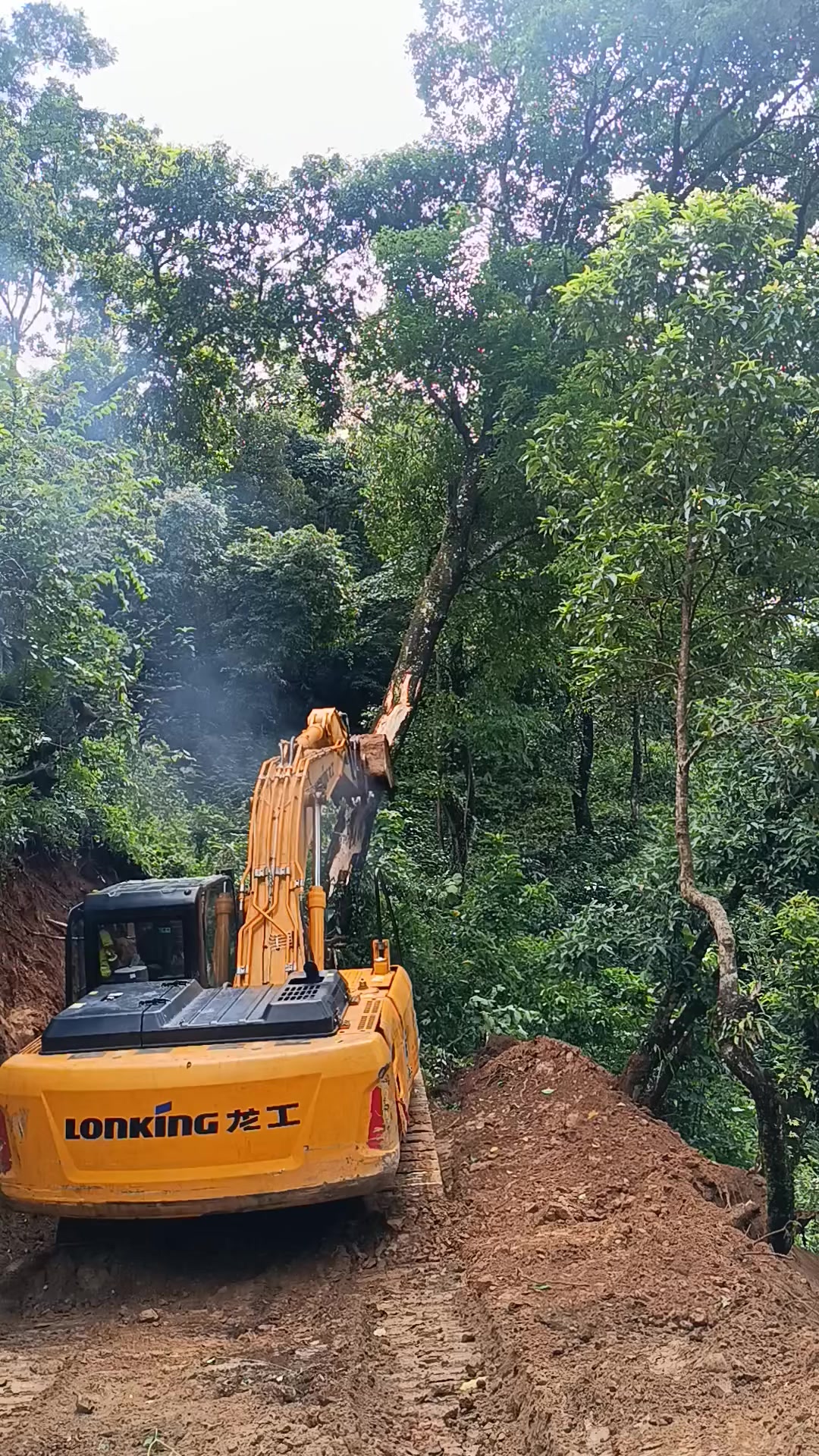 @अर्जुन लिम्बु vlog 🇳🇵