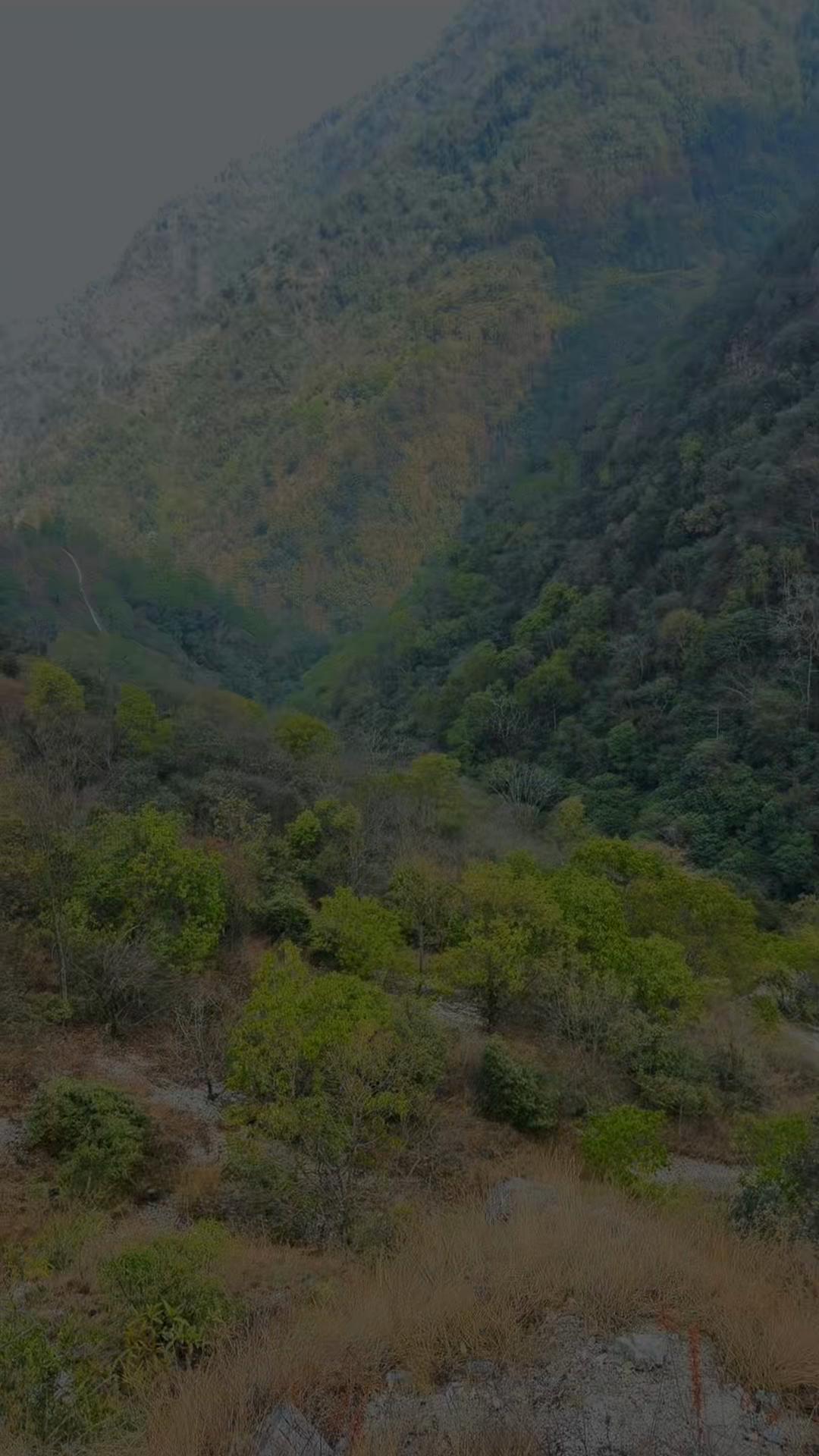 @Prashant Sindhuliya 🇳🇵 🇬🇧