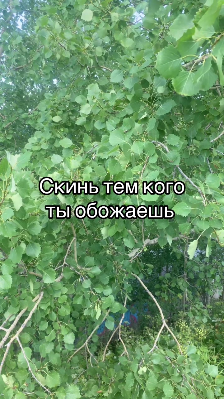 @Данил