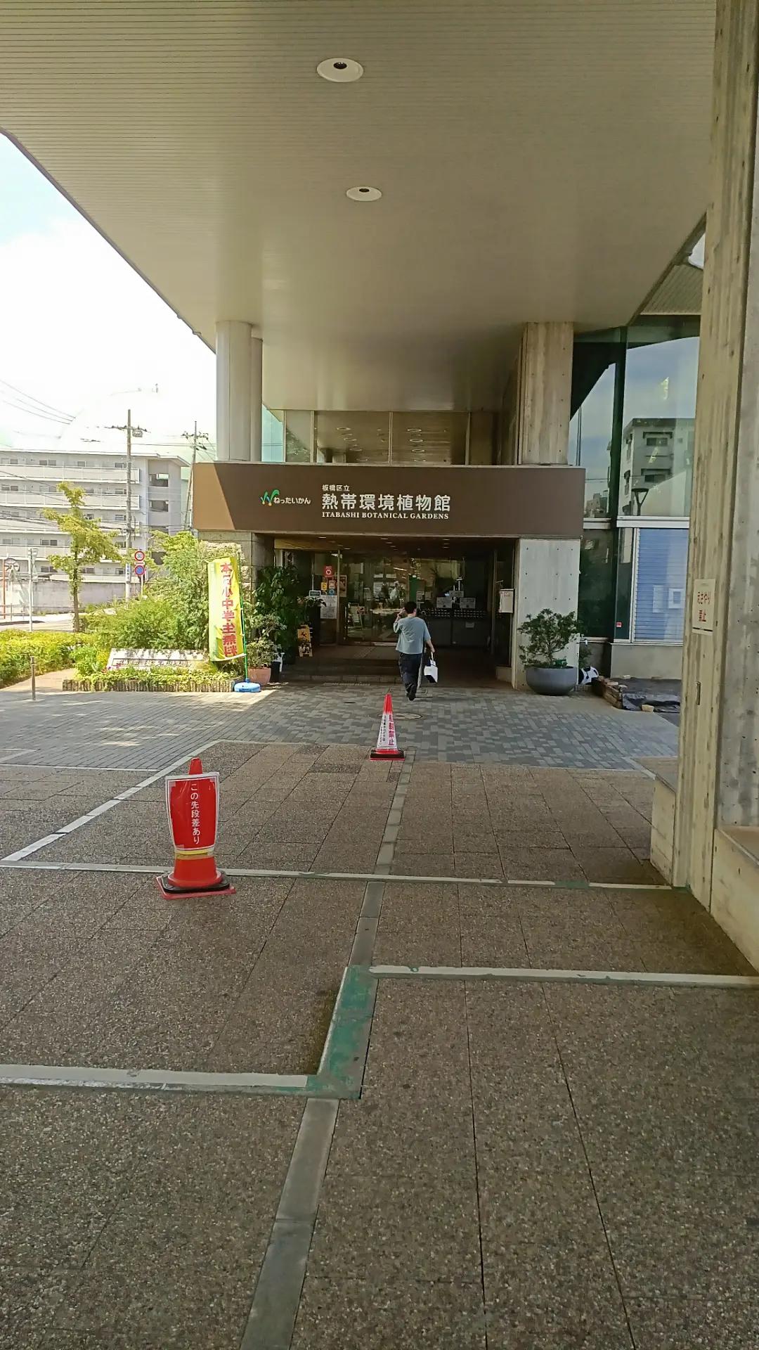 @Ranking Royal
