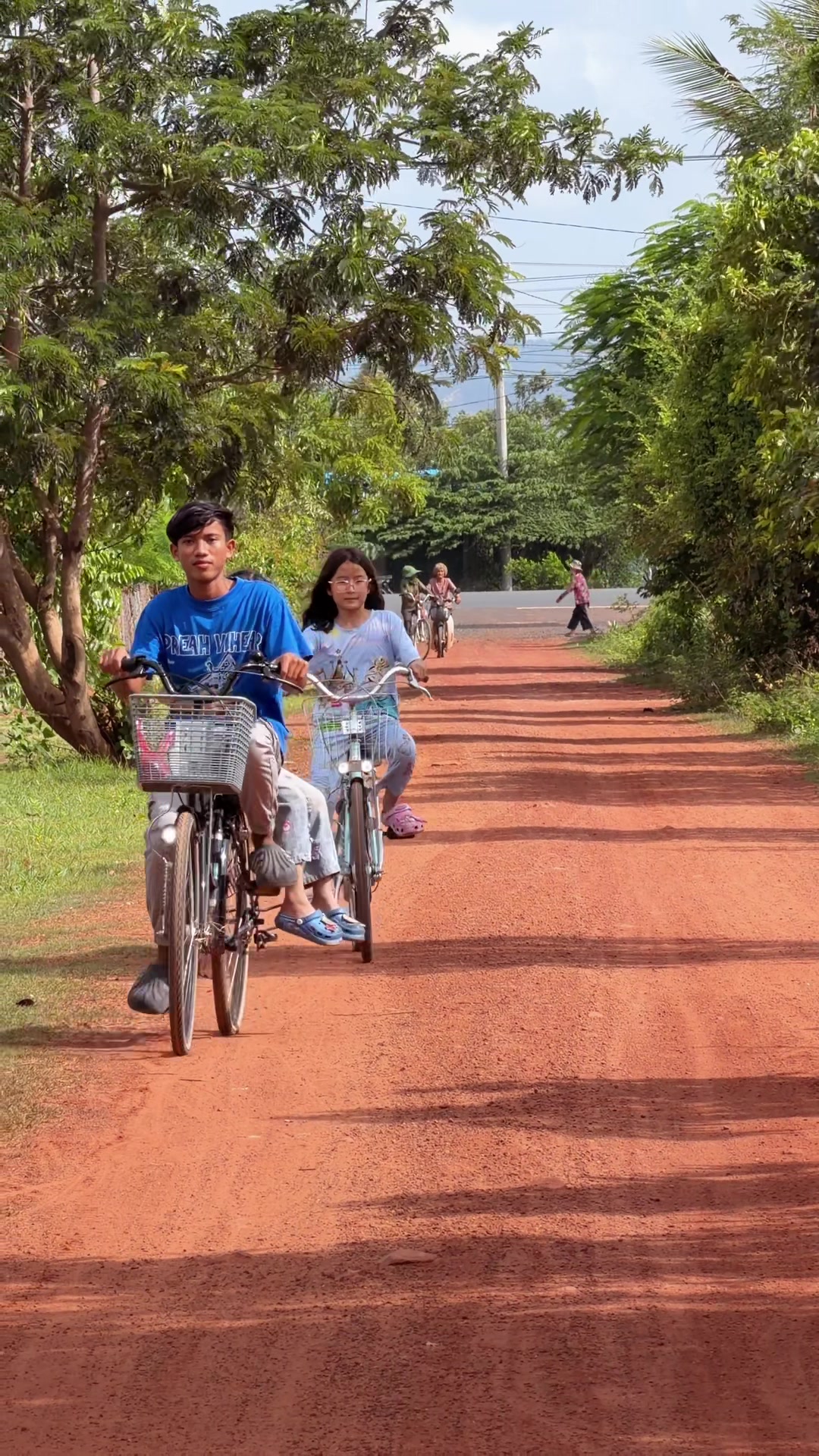 @កូនចាបមាស