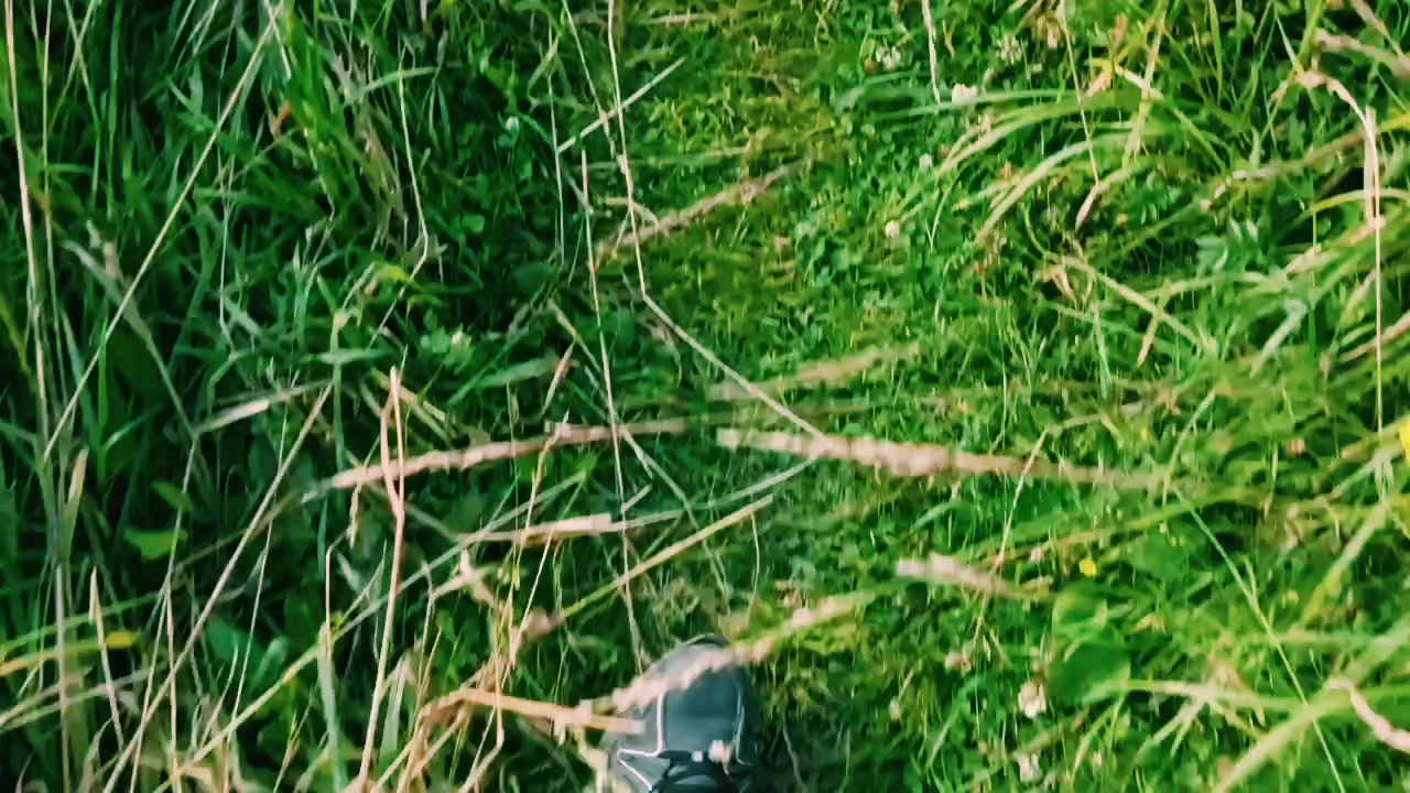 @urbex.mp4
