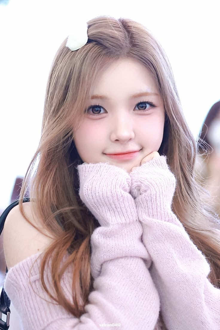@Koreabase