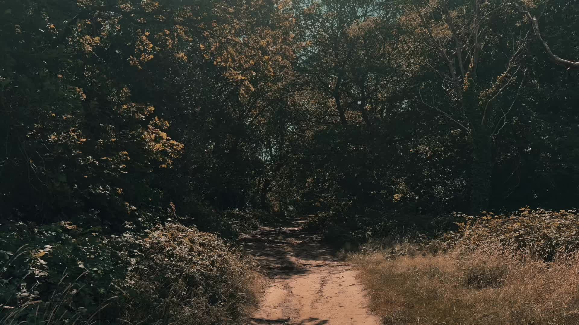 @ℛ𝑒𝑒𝑡𝑢 𝐶ℎ𝑜𝓊𝒹𝒽𝒶𝓇𝓎♡
