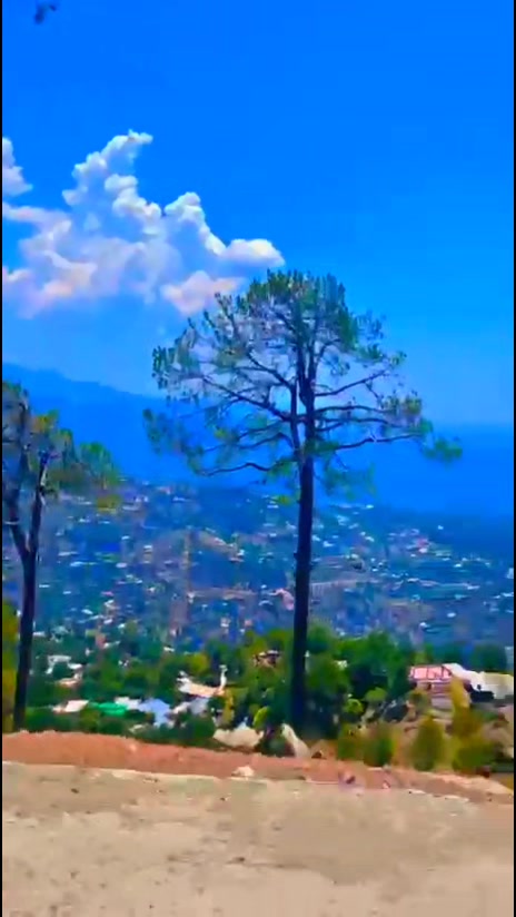 @🍁 amjad Kashmiri 🍁