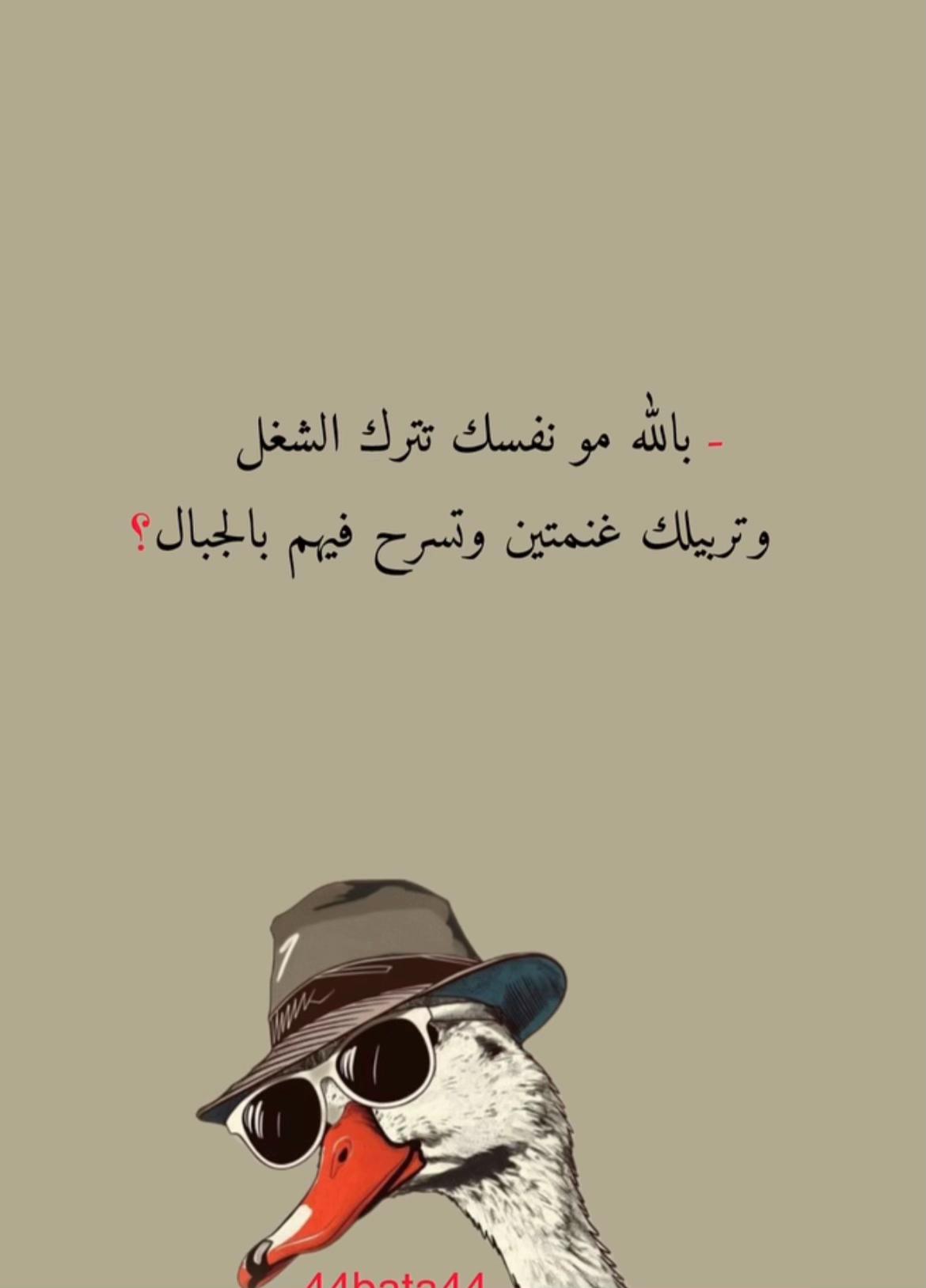 @محمد كلبونة 𓂆 💫