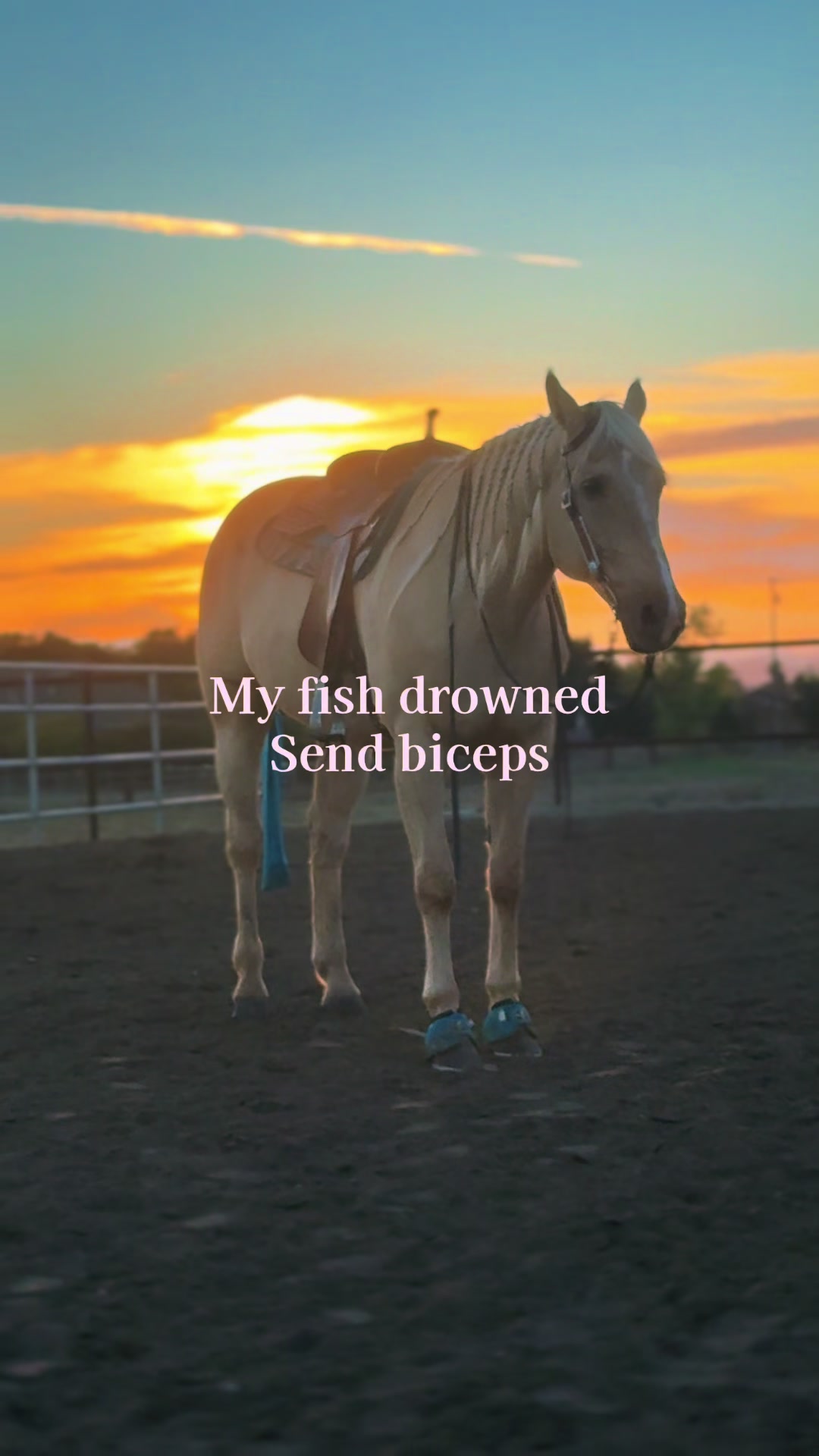 @⚡️♣️ 𝓛𝓲𝓵𝓵𝔂♣️⚡️