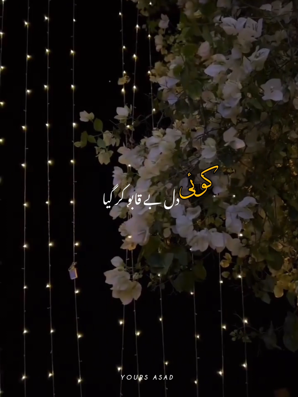 @𝙔𝙊𝙐𝙍𝙎 𝘼𝙎𝘼𝘿 ❤️🐼
