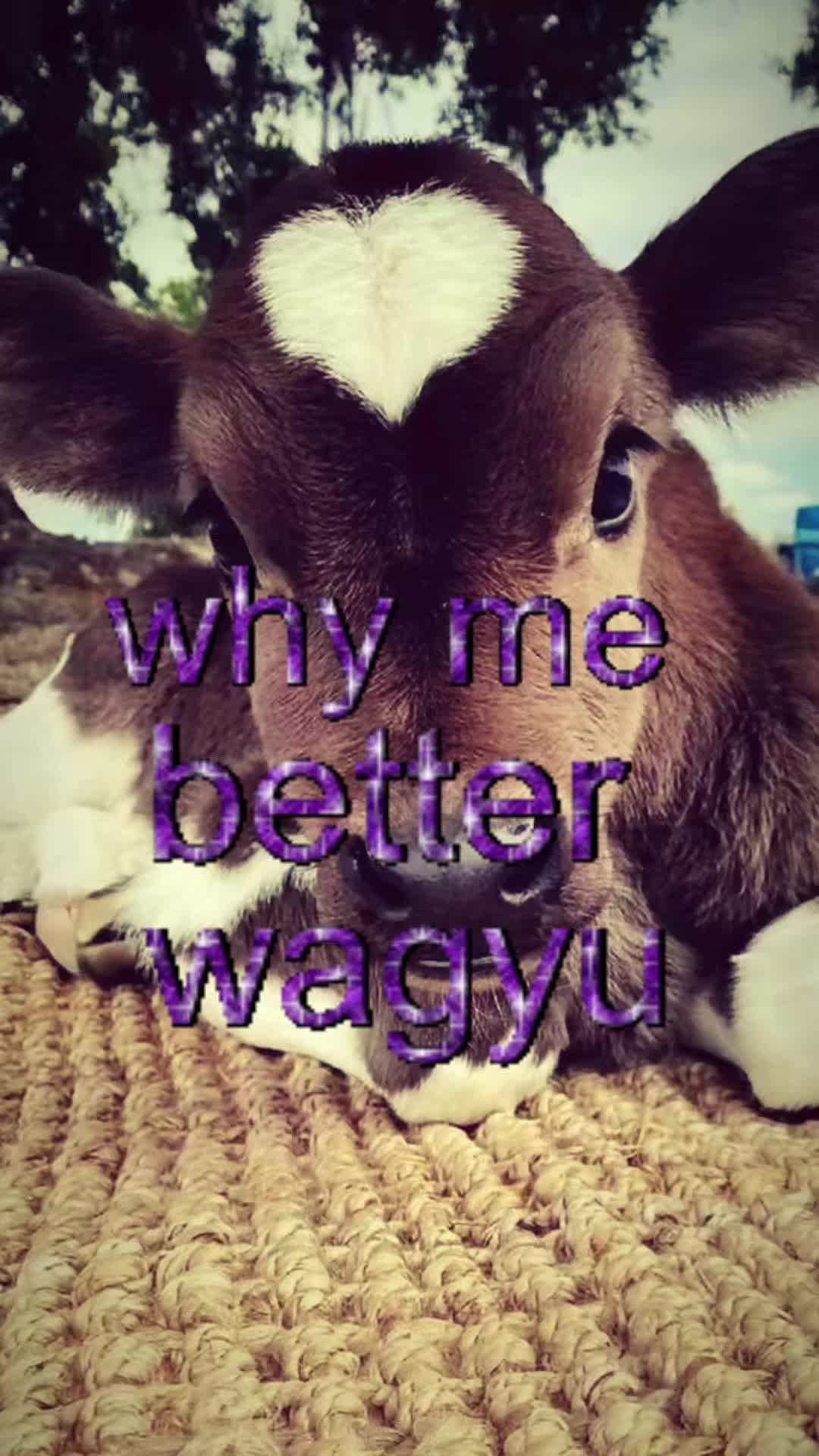 @Bert