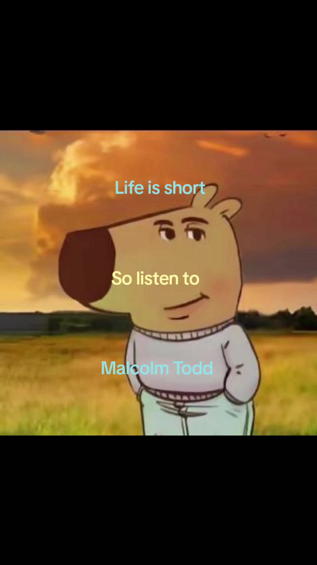 @🪾
