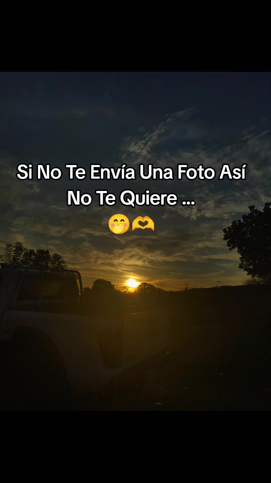 @V a n e S i e r r a L z 💕