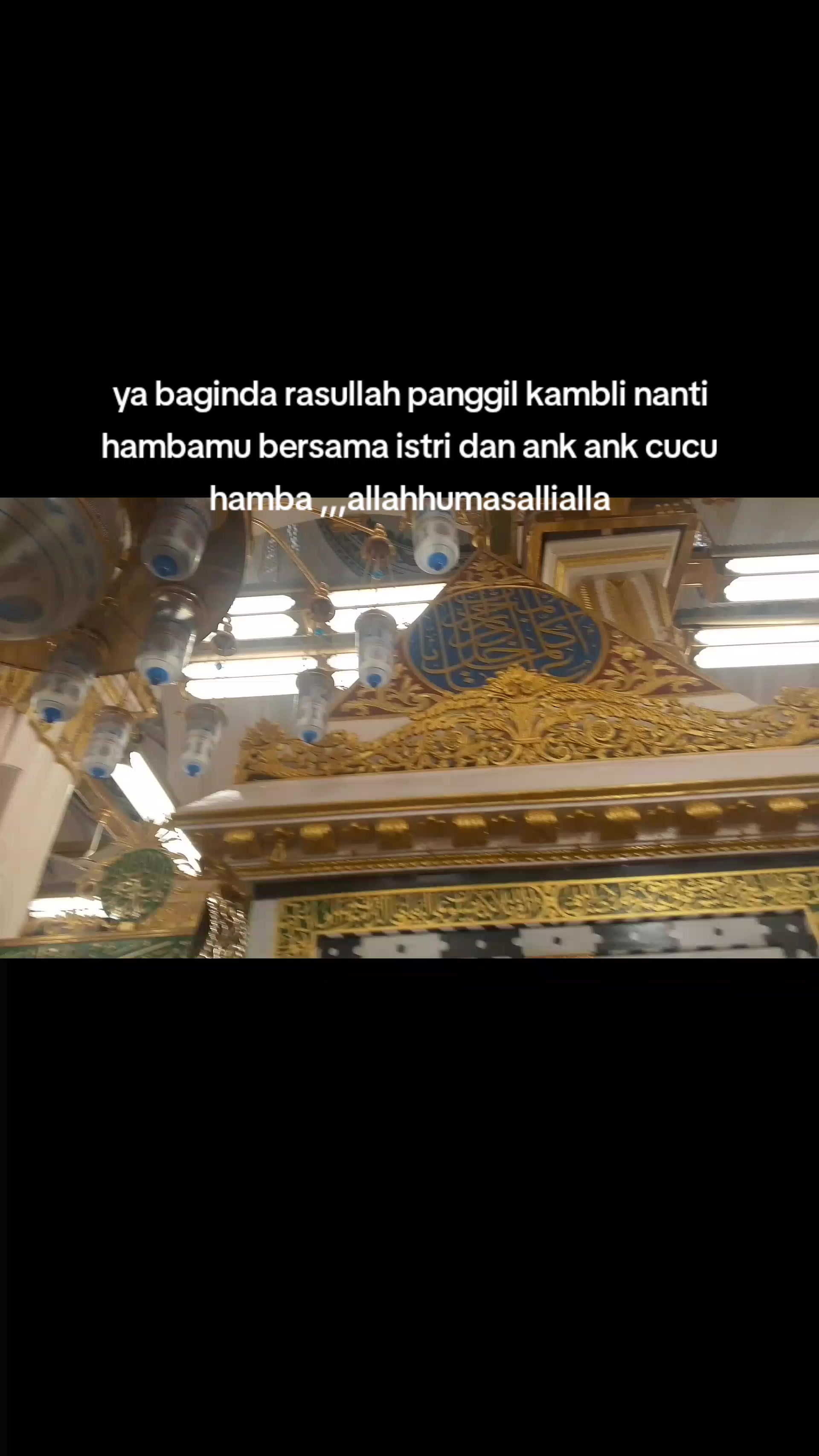 @seada x z