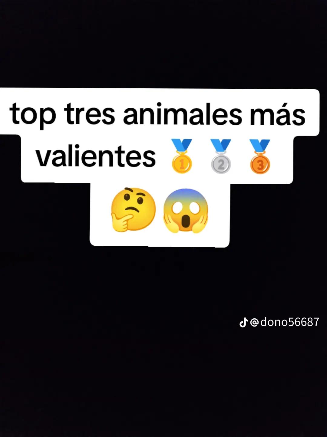@pato