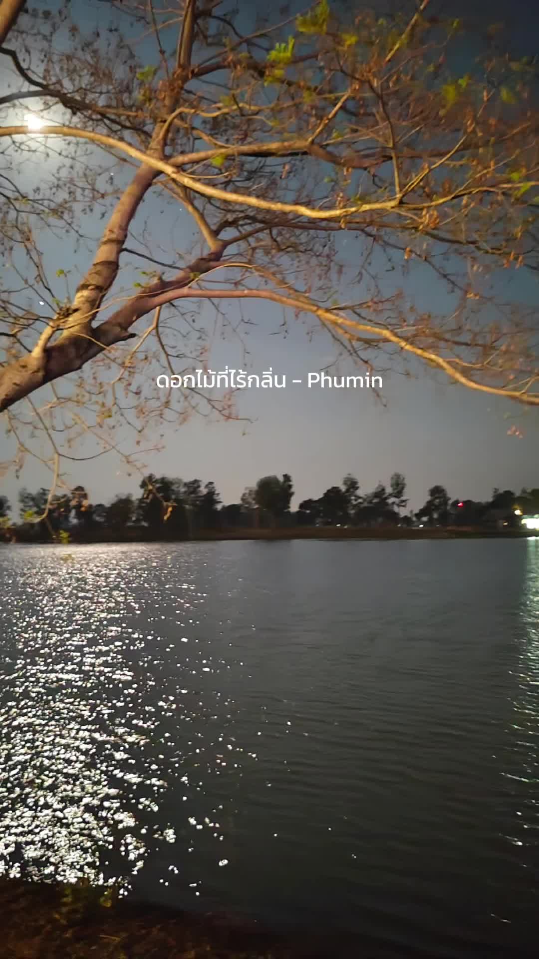 @Yuwadee_4289