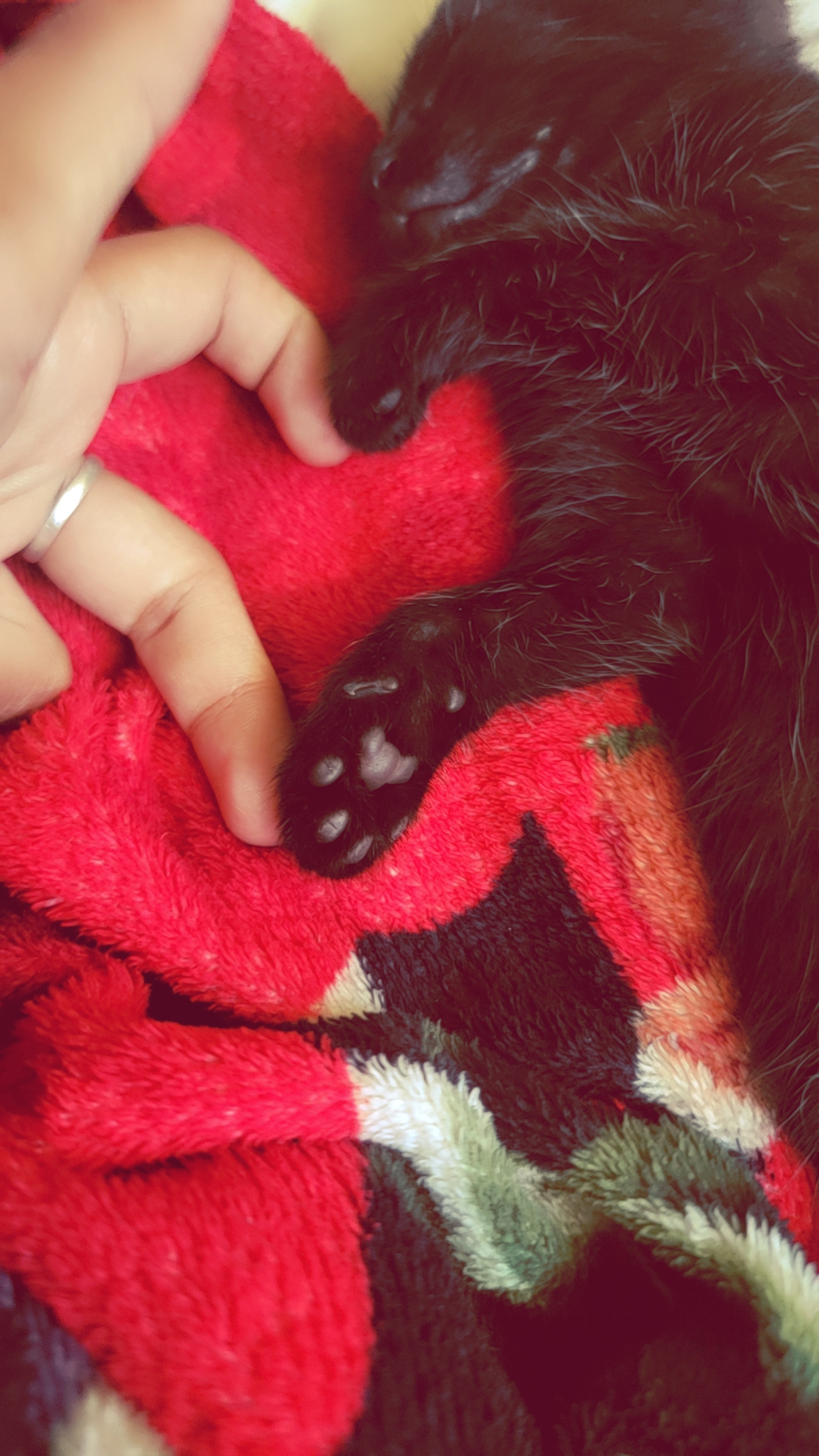 @🐊🙈♤ł&igrave;ķķłę~Pŕęťţ&yacute;~Şł&iacute;mžž🐊💞