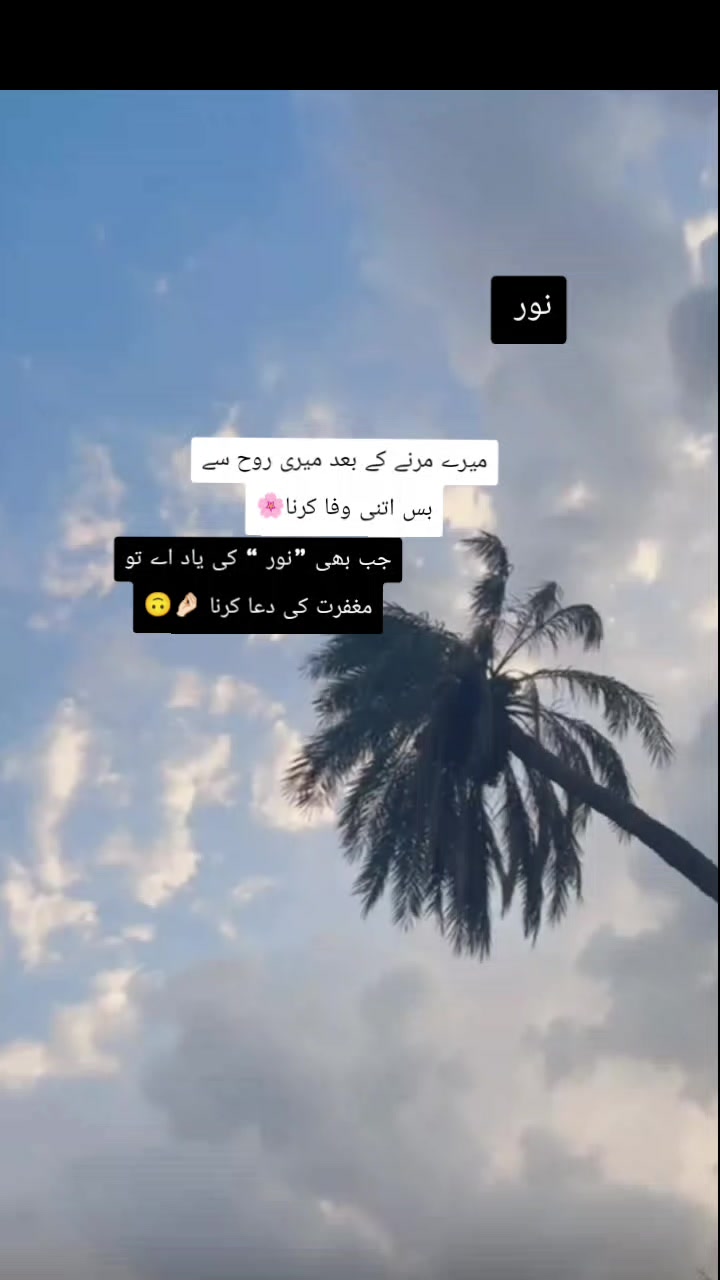 @Noor khan 👑💖