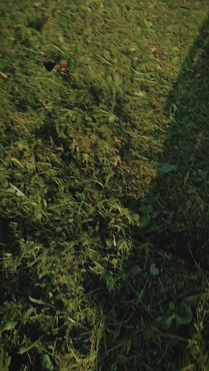 @муха амир