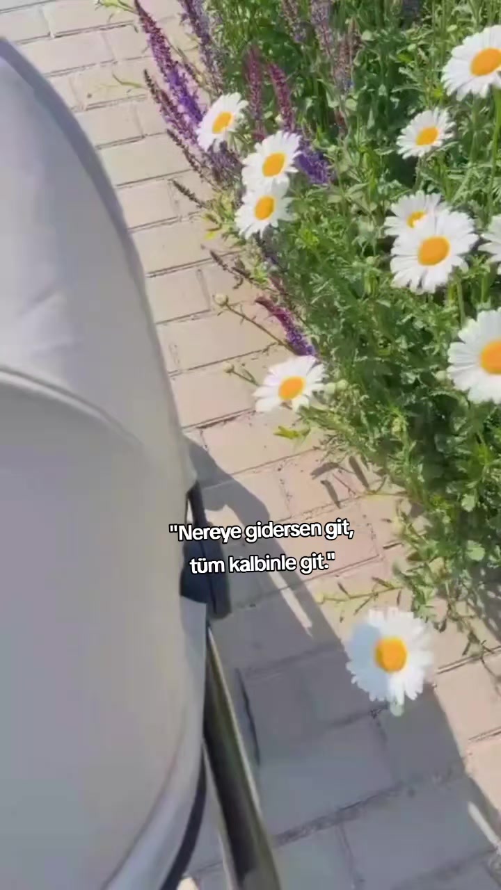 @kyplrdym