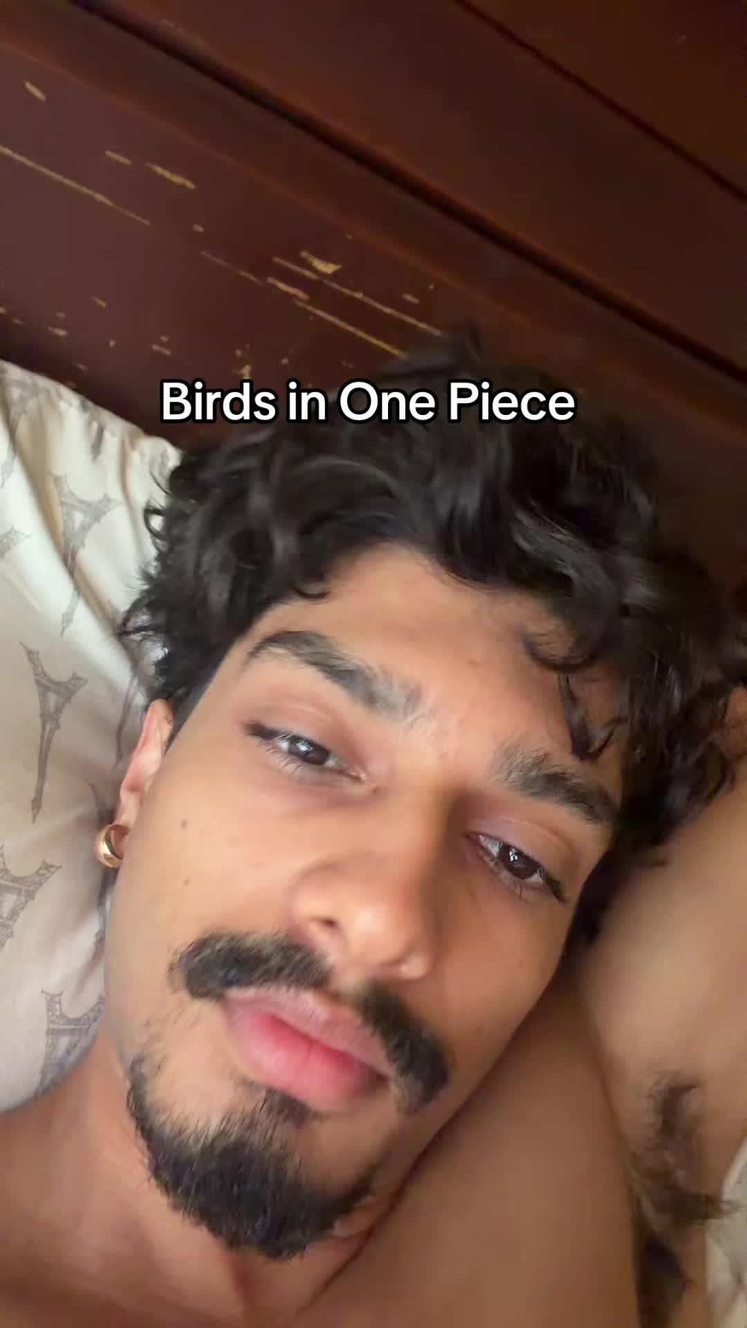 @desianimeguy