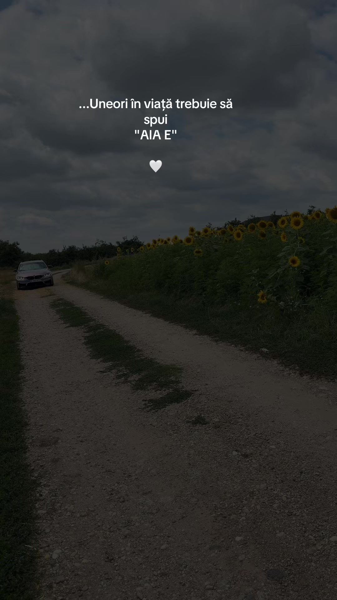 @995WTF