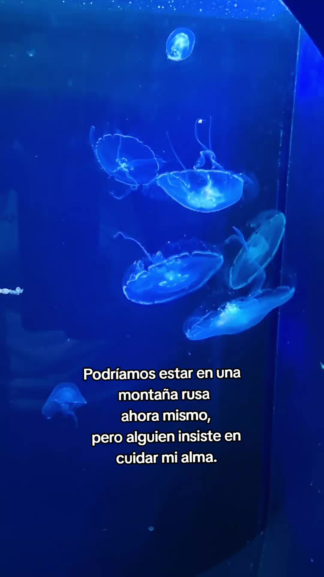 @Brizbasquiat