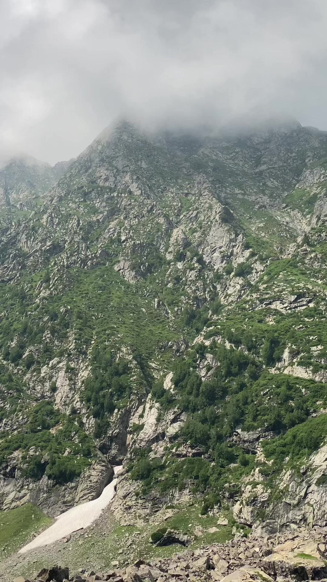 @غالب