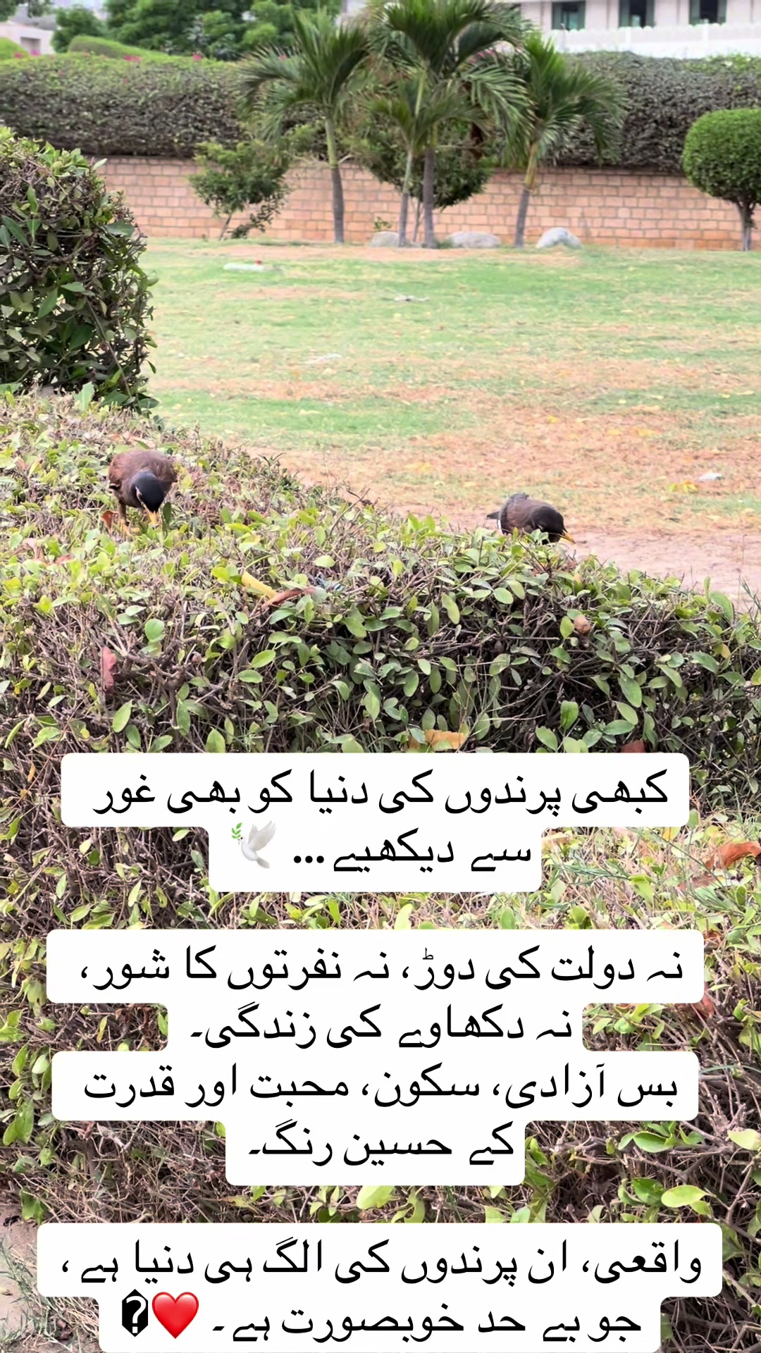 @Aj Ki Baat