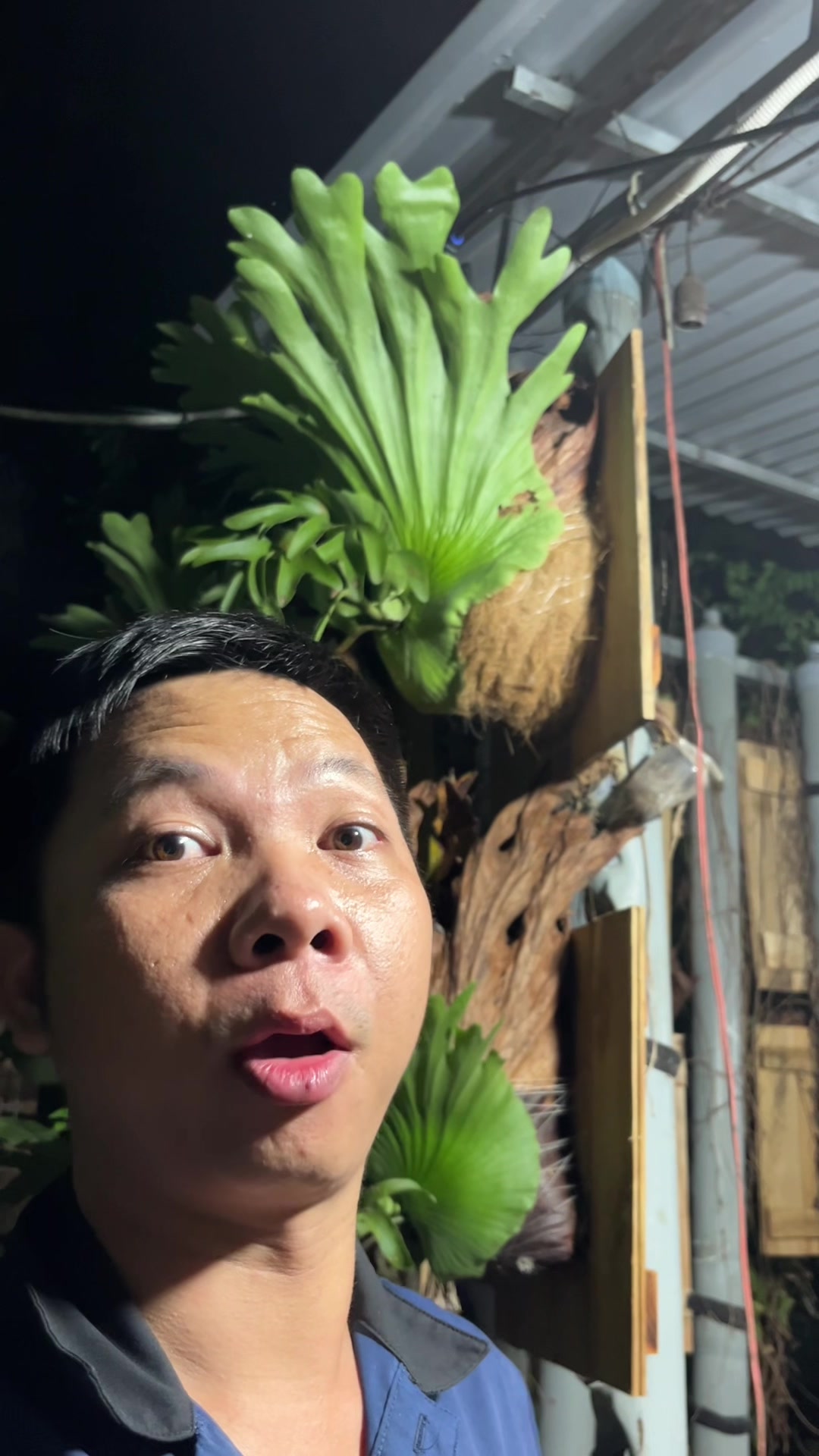 @Huy Kiểng Lá