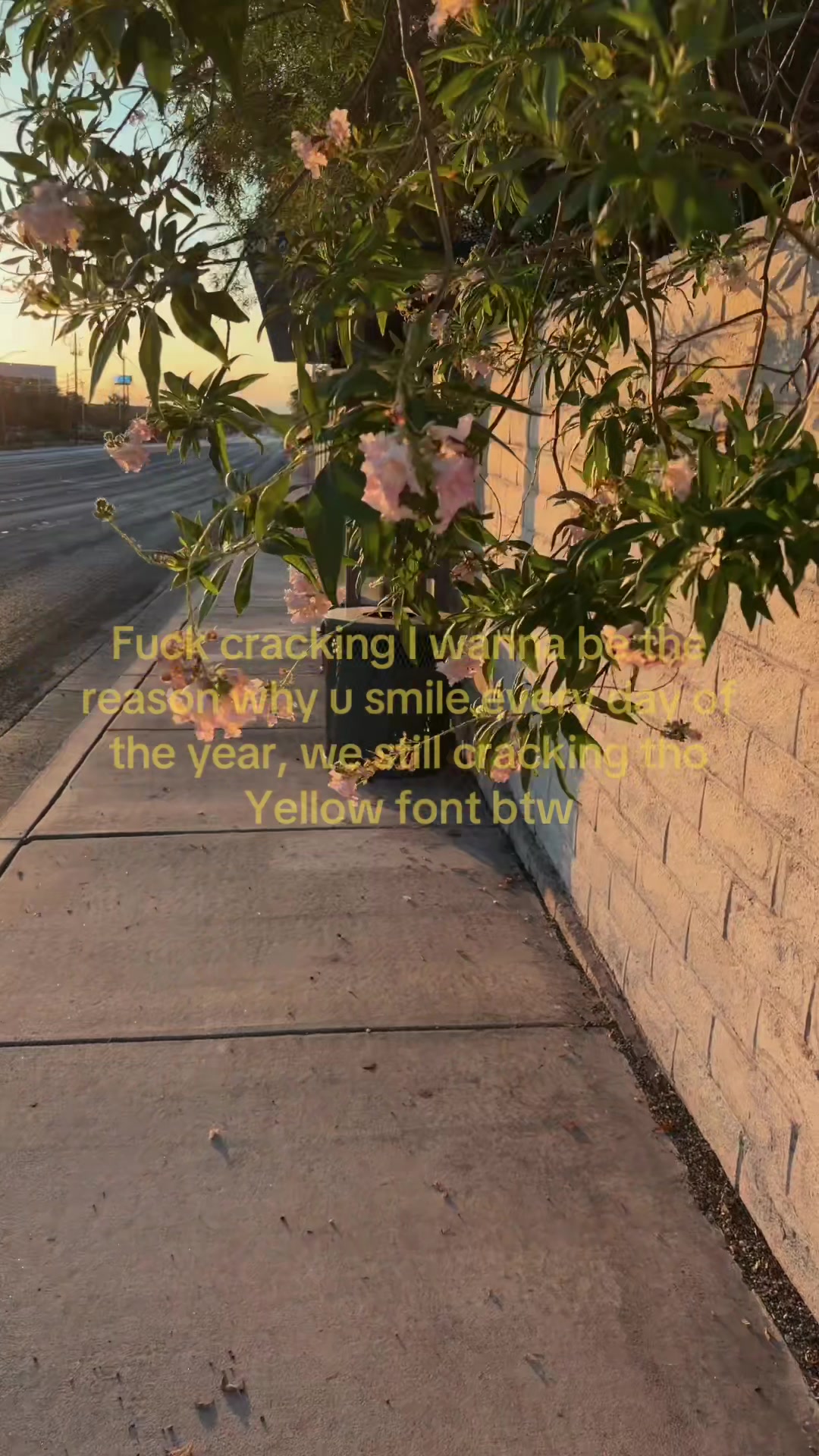@Erick676767