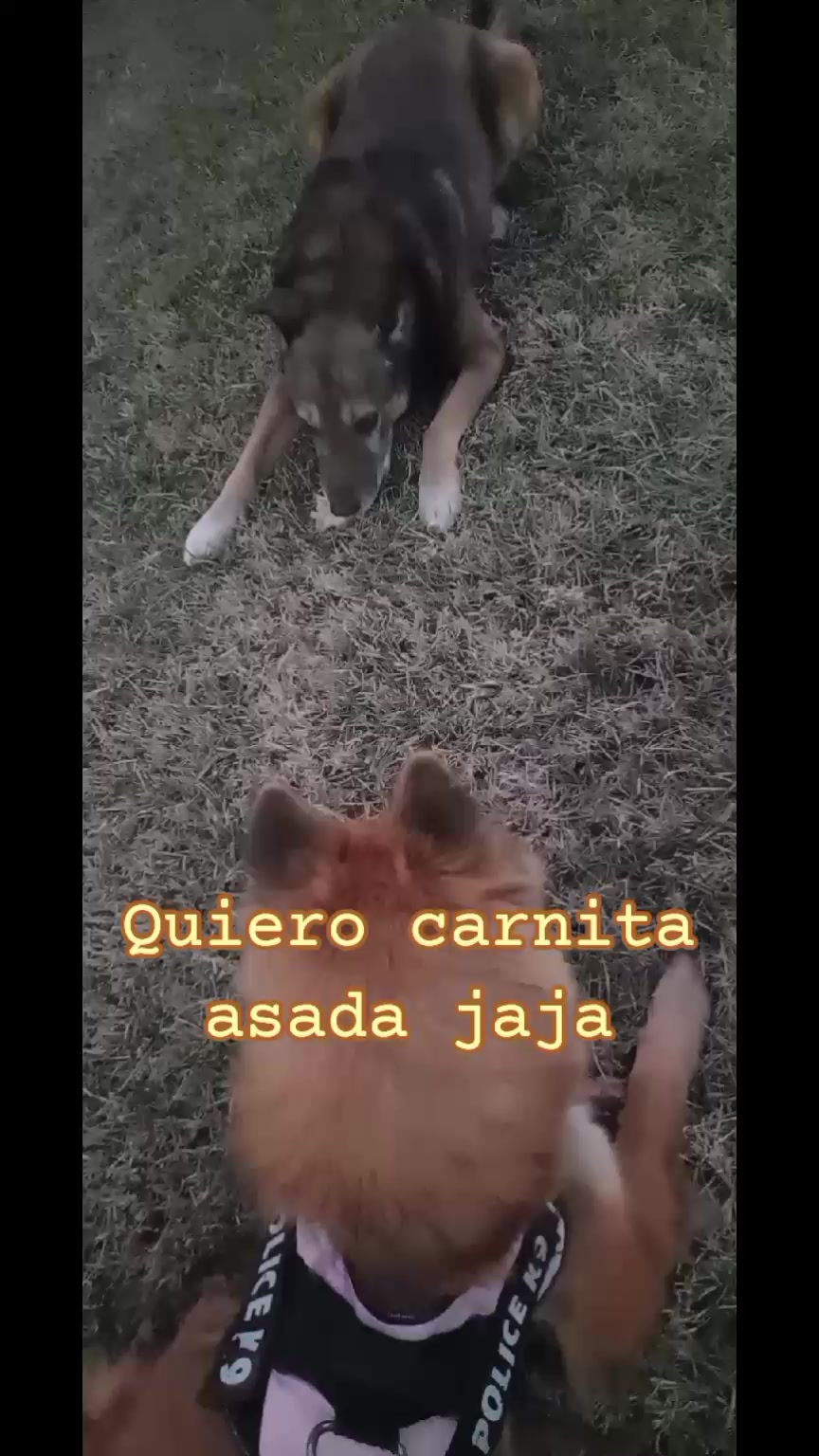 @Meyli Presiosita