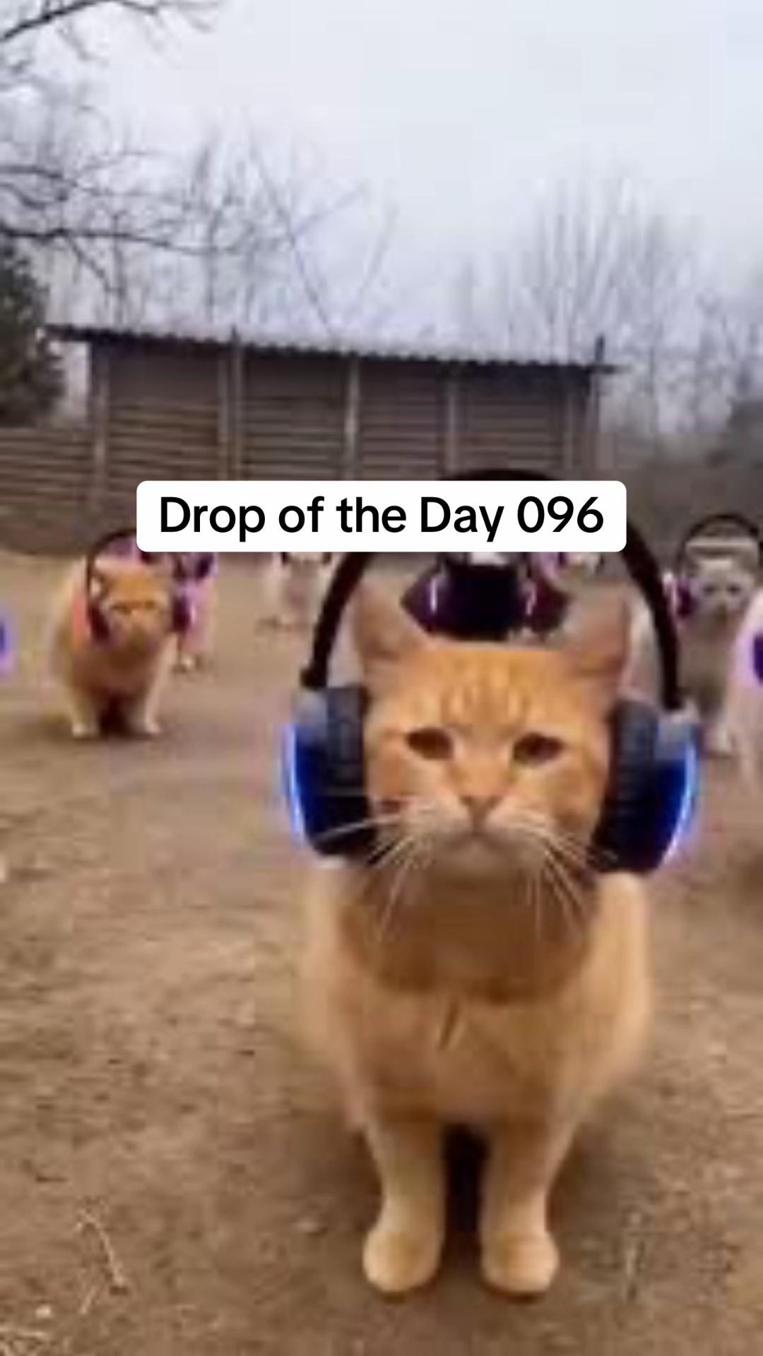 @Bass Hive
