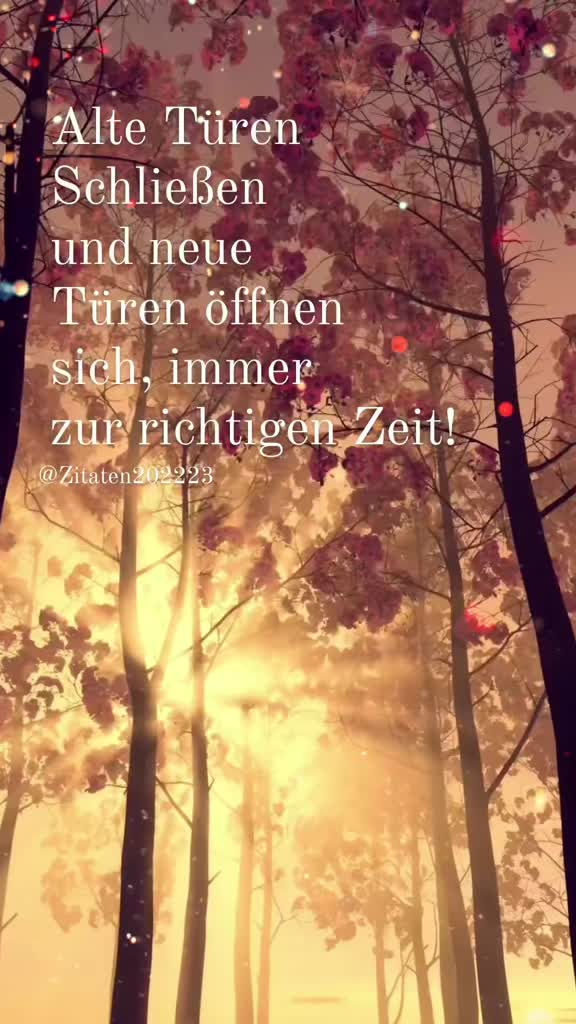 @Zitaten202223