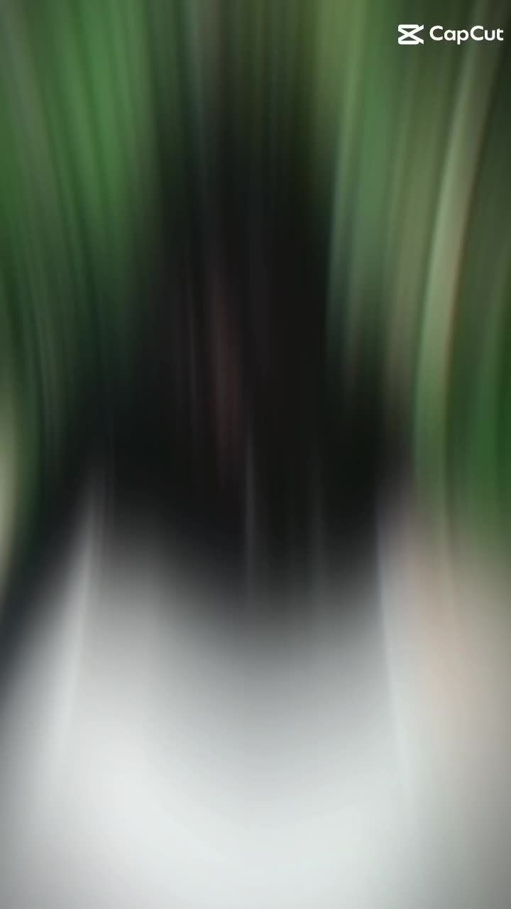 @jxyxx