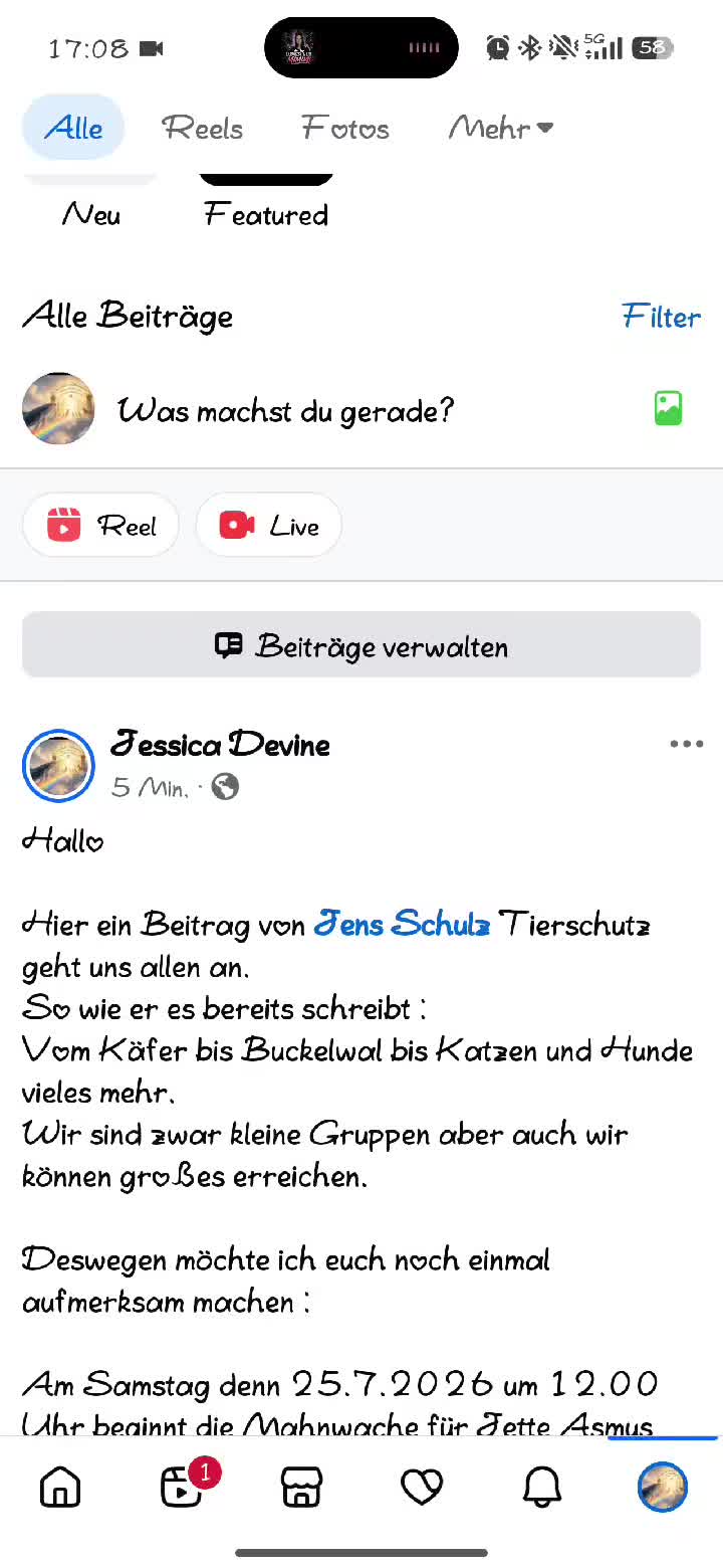@MoinMoinausdemnorden2023