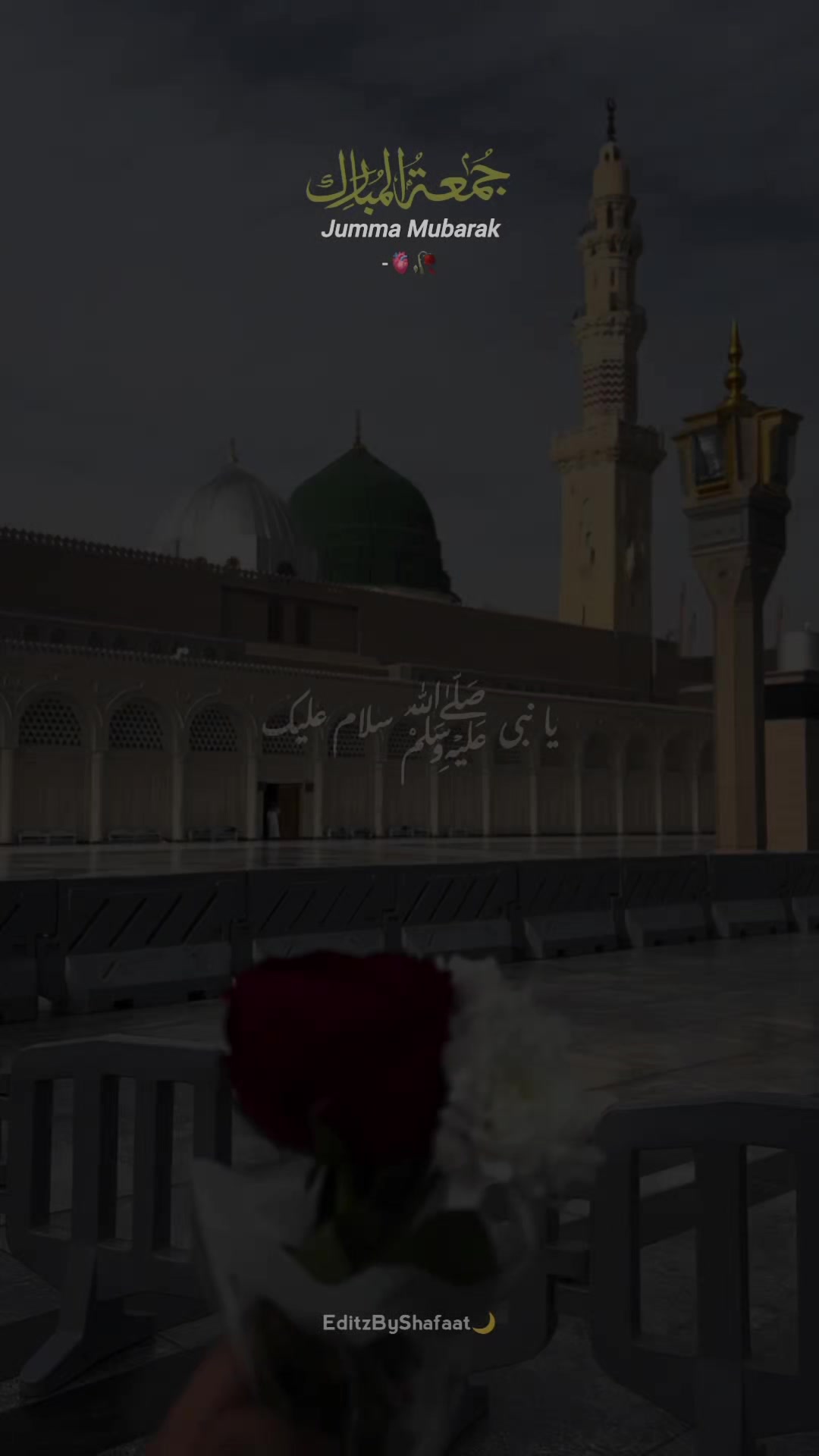 @EditzByShafaat🌙
