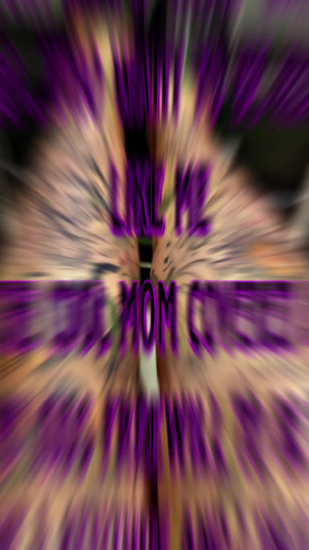@St€ph@n!€