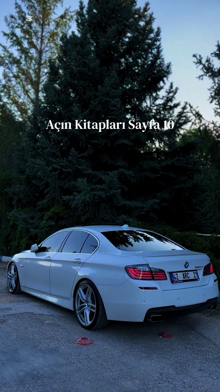 @ibrahim