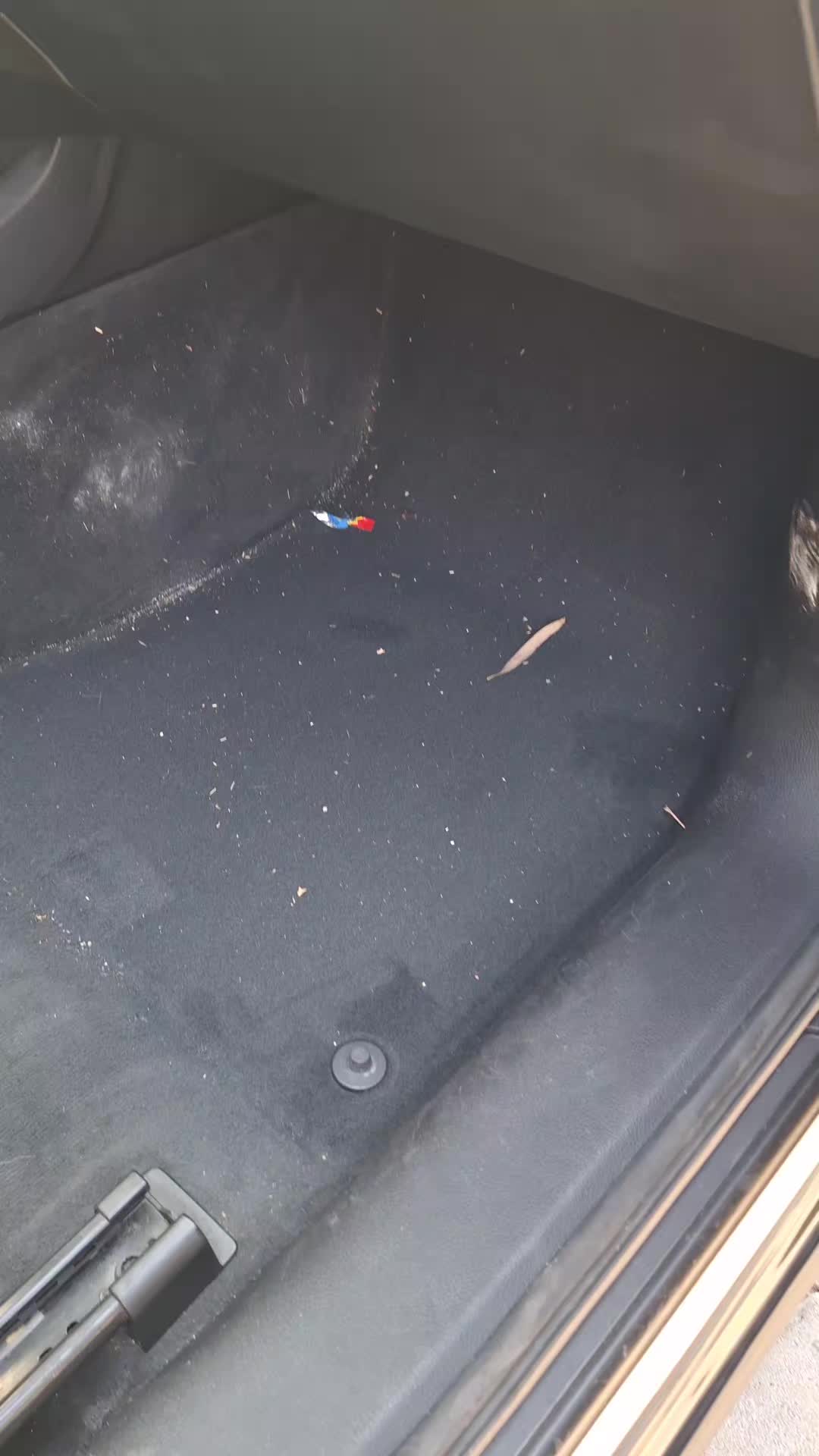 @FLO🆚️DETAILING