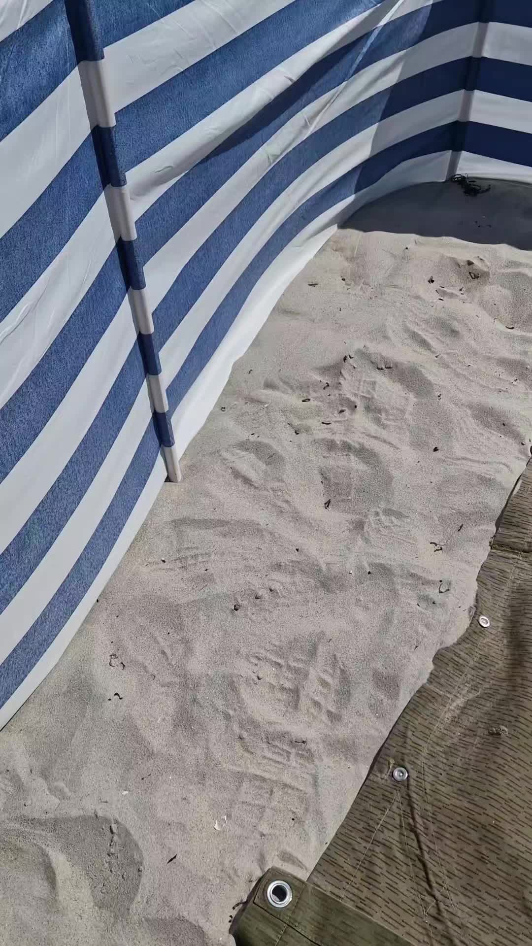 @R&uuml;gen Live