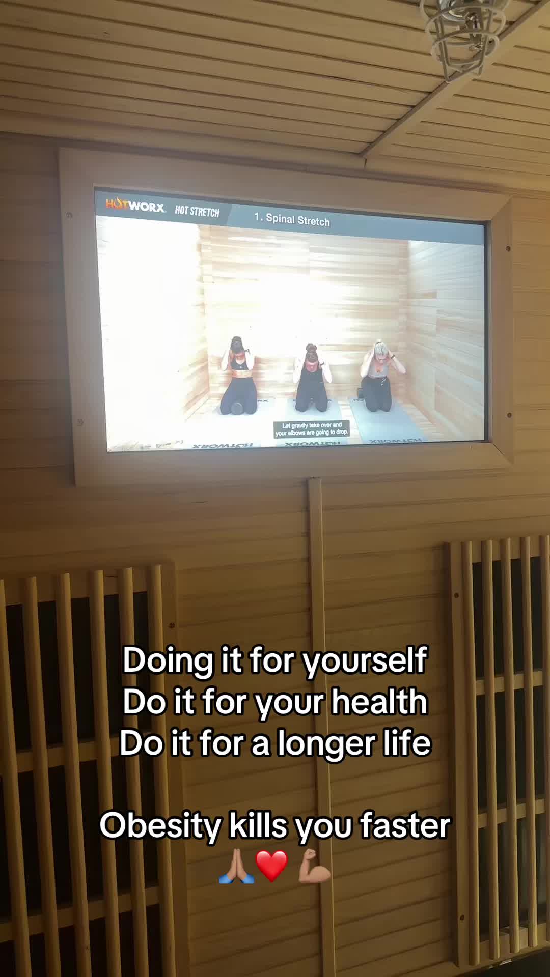 @Healthier Ms.V D325